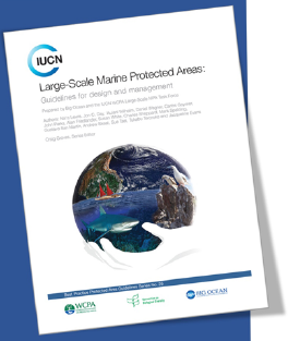 Global Guidelines