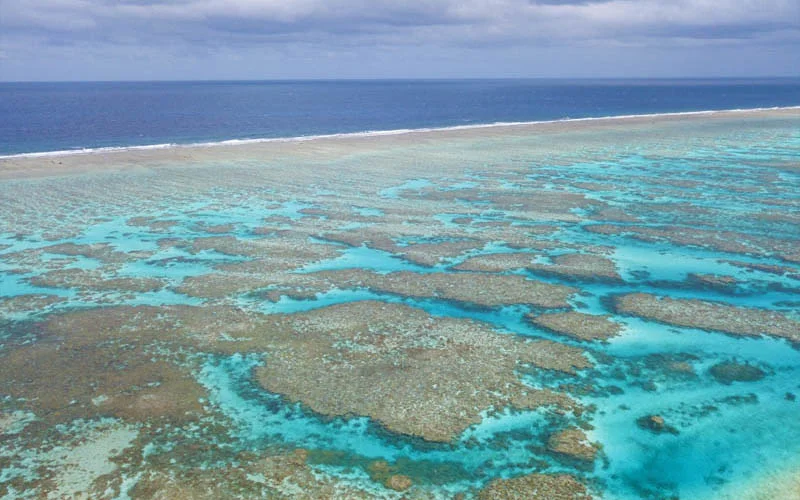 © Chesterfield Loop Island reef Nicolas Job Heos Marine Pacifique
