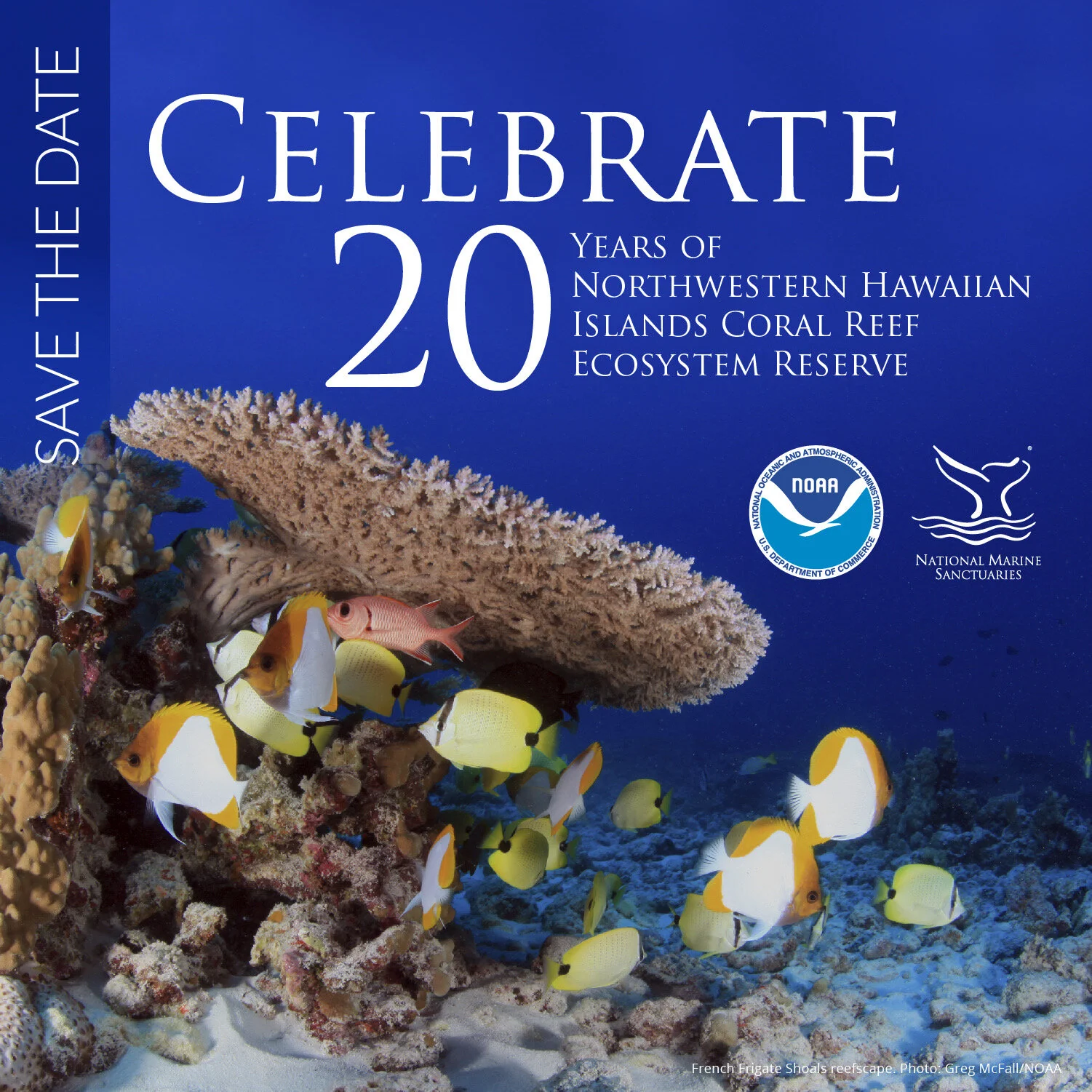 20 Years of Leadership