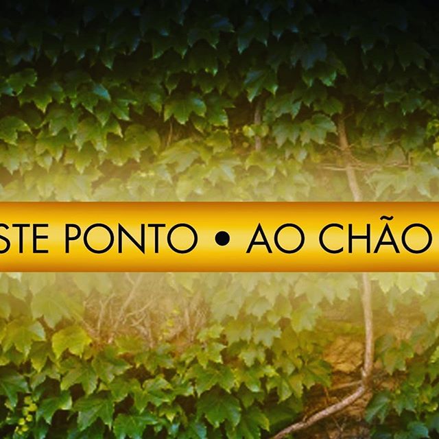 O GRANDE VENCEDOR do concurso para intervir no nosso p&aacute;tio est&aacute; escolhido. 
DESTE PONTO AO CH&Atilde;O  de Tiago Ascens&atilde;o, aproveita a ilus&atilde;o de &oacute;ptica gerada pelos diferentes n&iacute;veis e &acirc;ngulos existente