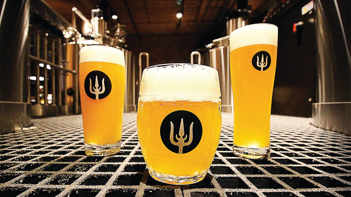 Wayfinder-Beer-new-collaboration-beer-release.-image-courtesy-of-Wayfinder-Beer.jpg