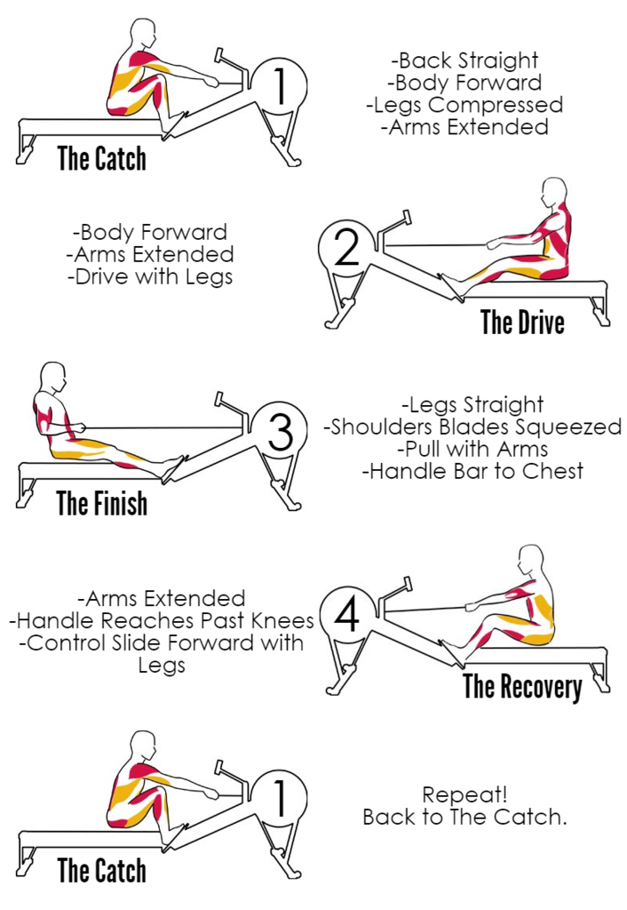 How_To_Improve_Rowing_Technique_1024x1024.png