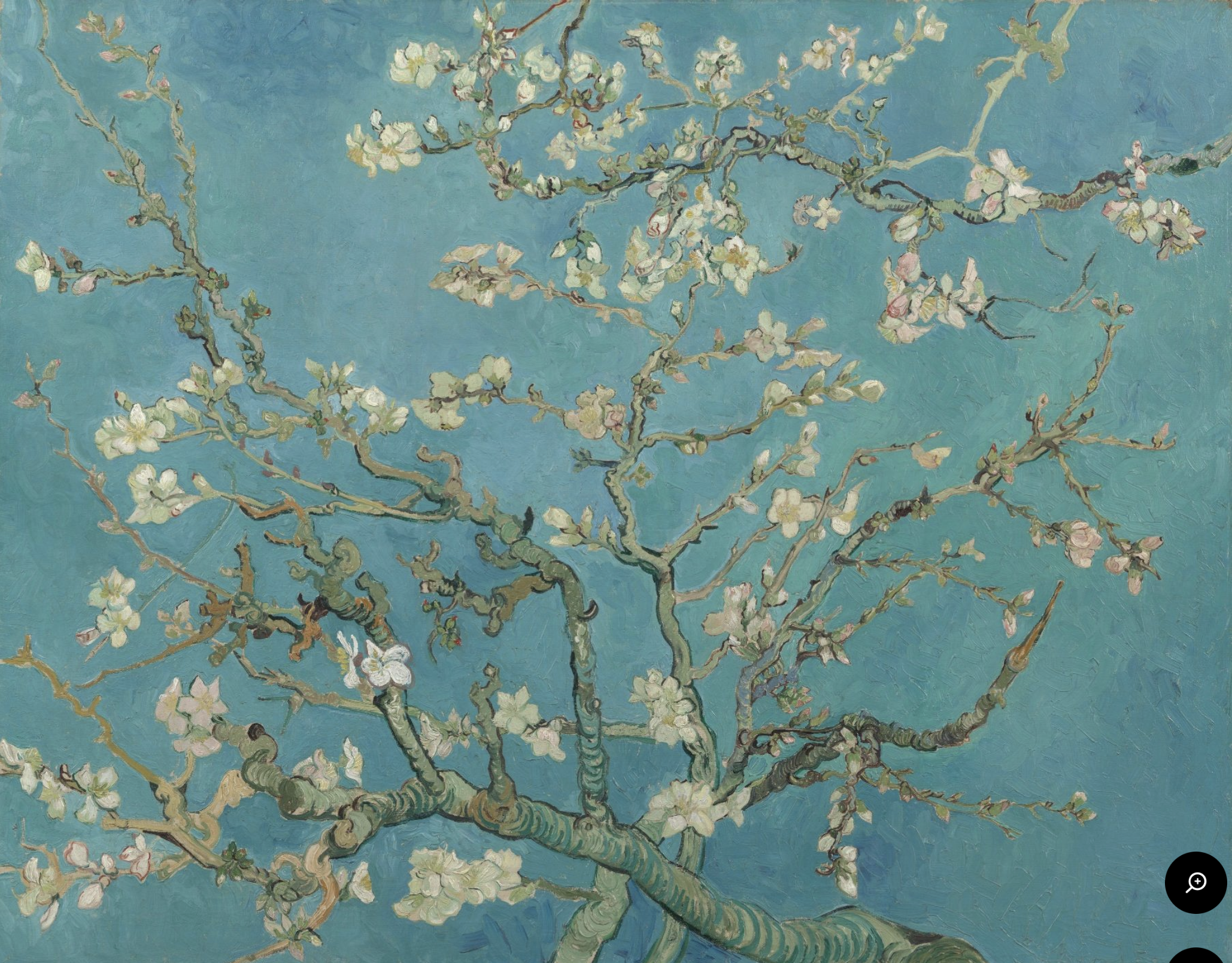 Almond Blossom.png