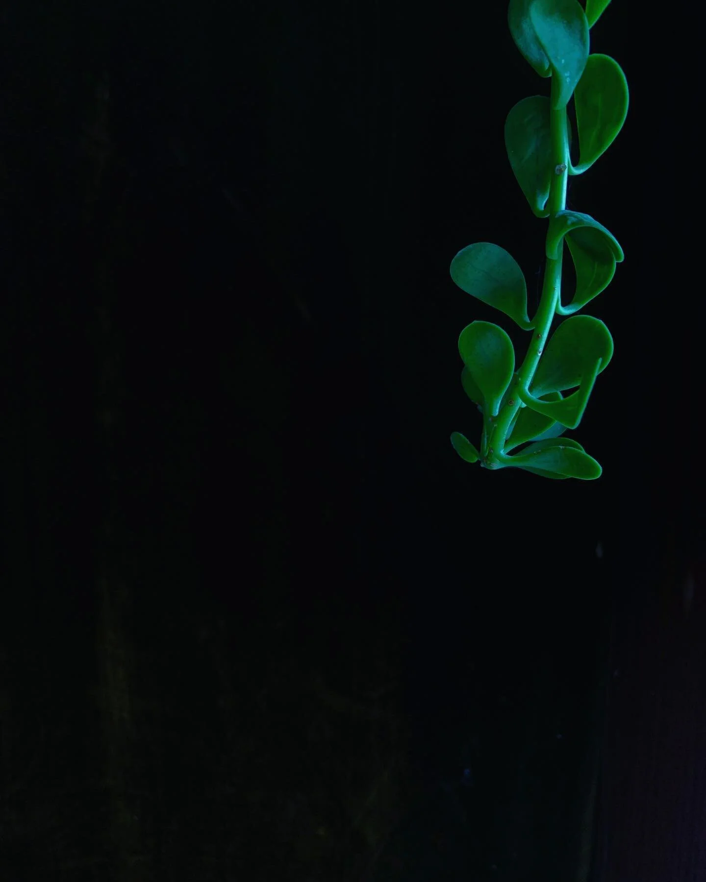 Growth. Like learning anything discovery takes time. Ceramics is something that allows you that space. Failure is part of process and process invites failure. Nothing falls unless invited to, and nothing stays unless corrected. 
Lean upon the space t