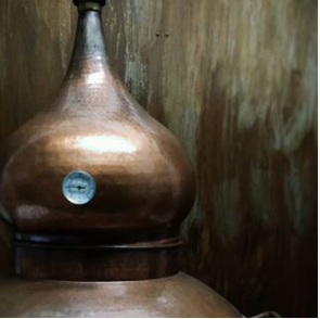 Black Collar still.PNG