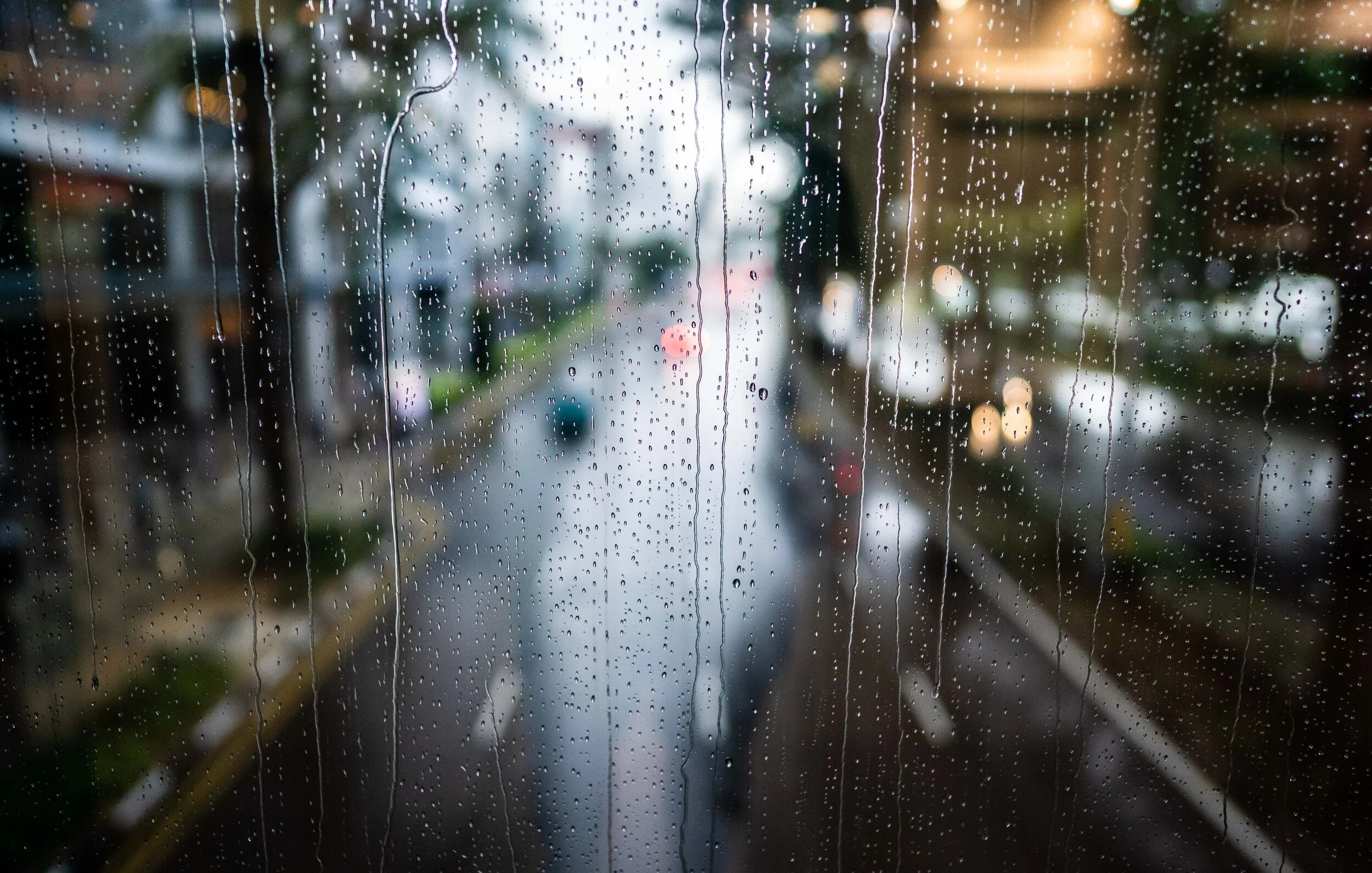 A9A00893.jpg