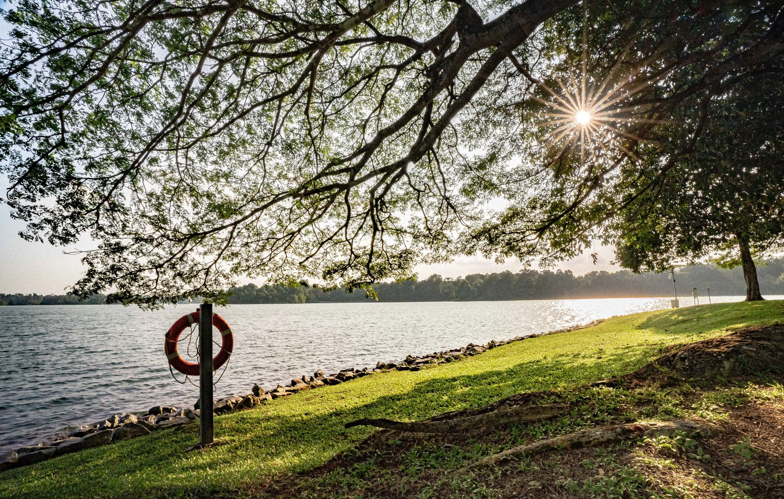 A9G01929-HDR.jpg