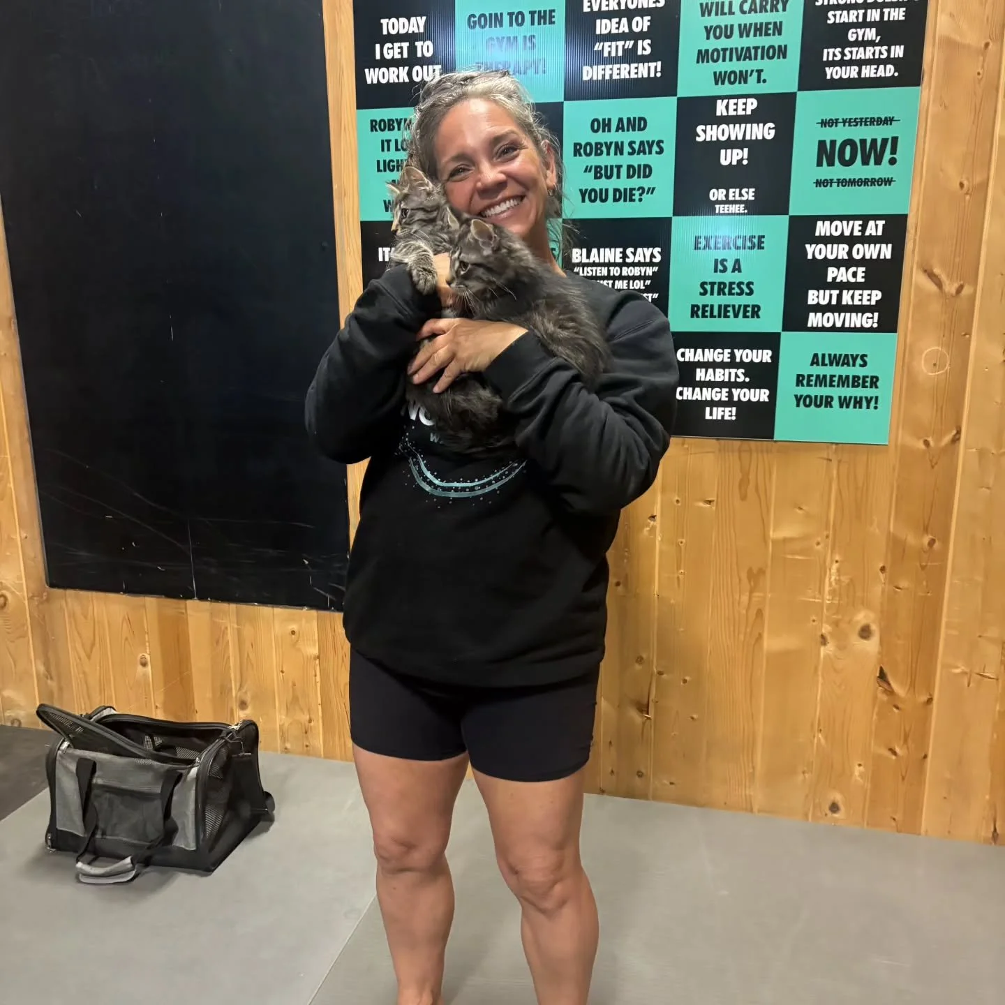 Nancy did 2 classes of kitten yoga today!
50 people coming to hang with some cats! 
Thank you @nancysoderstrom and @scatstreetcatrescue for bringing the kittens. They are all up for adoption.  Please check out their page!