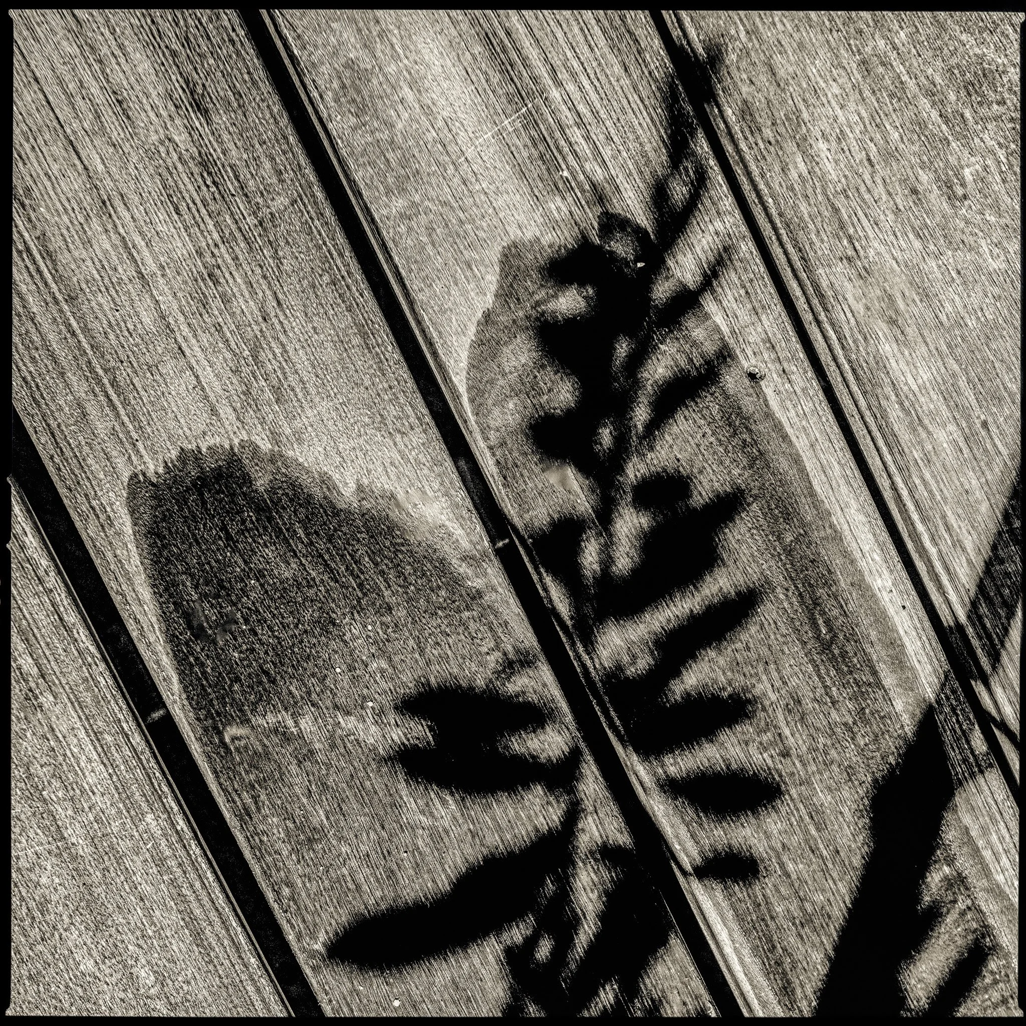 20250721-File#0493-GUSBENNETTPHOTOGRAPHY_0800px.jpeg