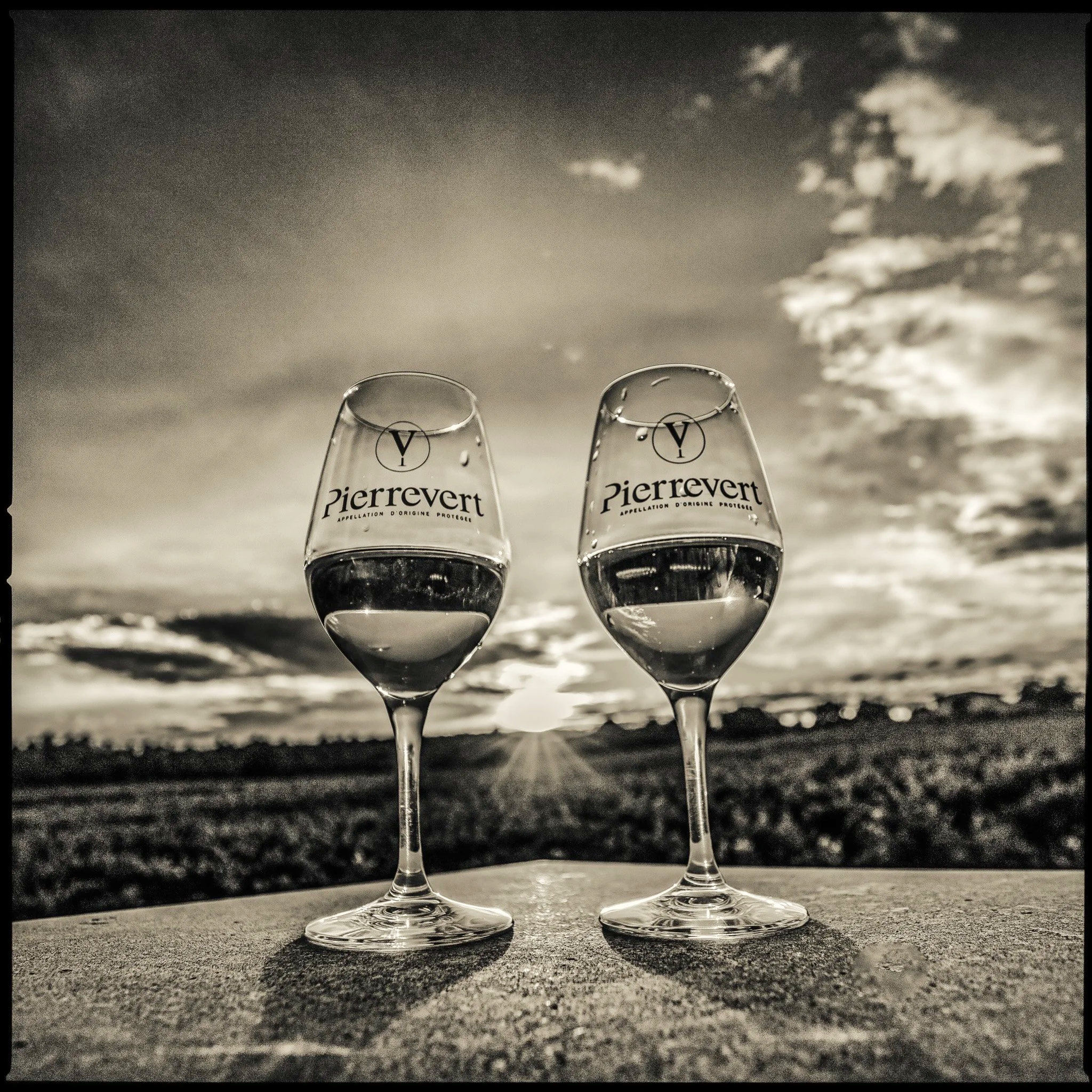 20250723-File%231463-GUSBENNETTPHOTOGRAPHY_0800px.png