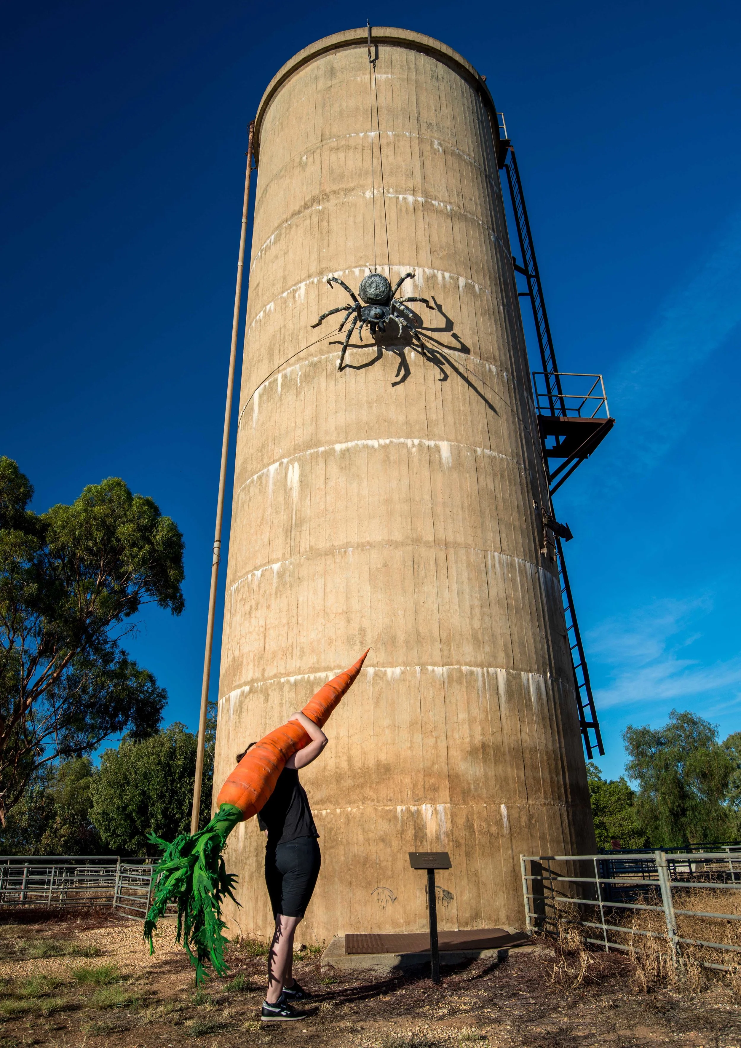   The Big Spider and the Big Carrot,  Urana .  