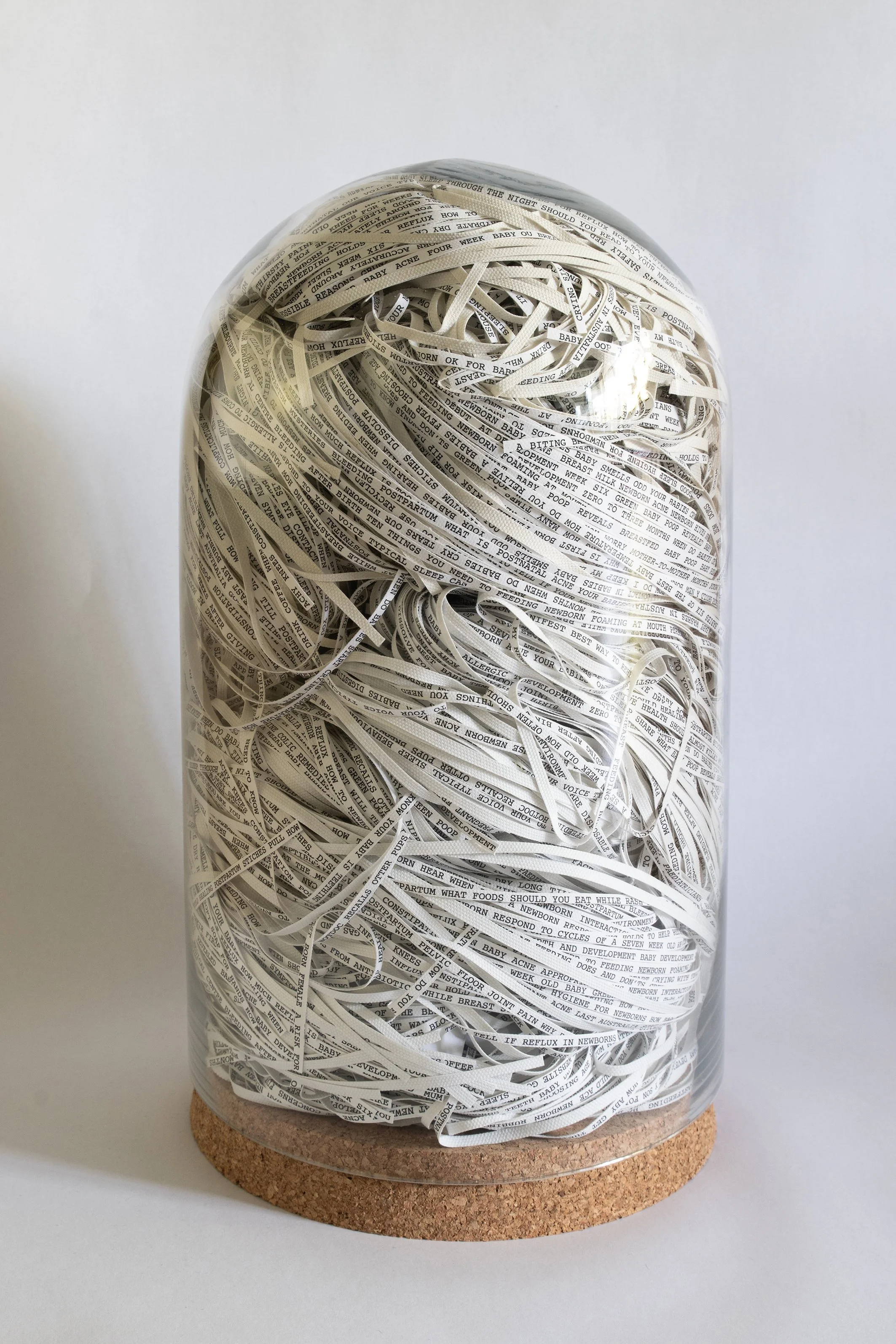   The Bell Jar: The Bell Jar: everything I Googled for the first four months of my baby's life  by Clare McCracken, 2025. Found glass and cork, digital print on canvas hand cut into strips.  38cmH x 20cm 