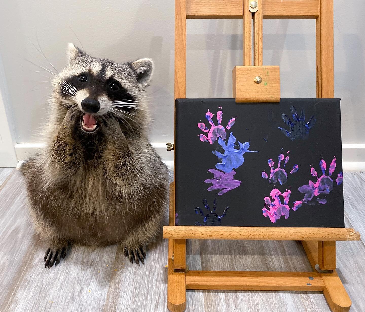 GIVEAWAY!! 🎨🦝 (closed!! winner contacted)

🦝Happy International Raccoon Appreciation Day!!! 🦝

We had no idea about this holiday until one of our amazing followers messaged us about it. Raccoons are often misunderstood and thought of as nuisances