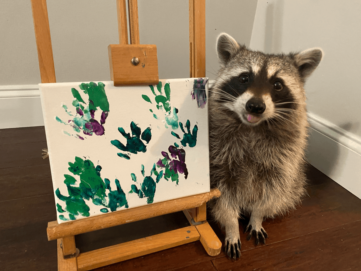 Raccoon Acrylic Painting