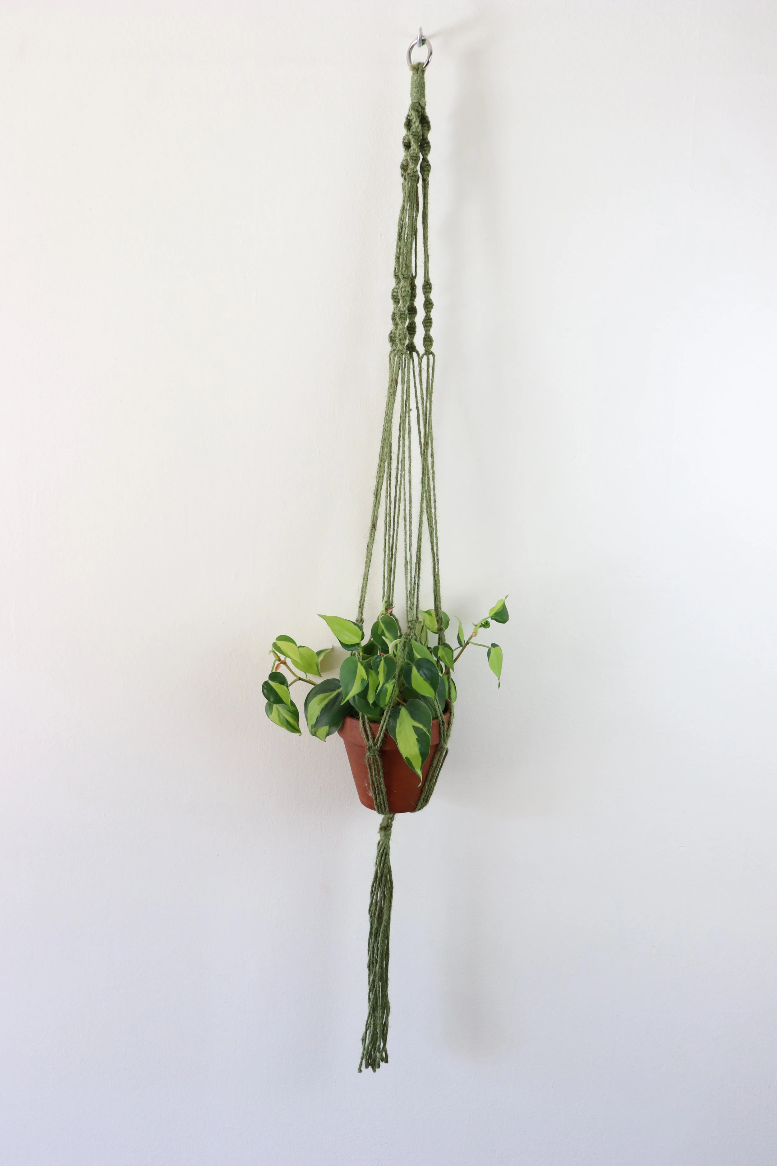 Natural Fiber Green Plant Hanger - 5"