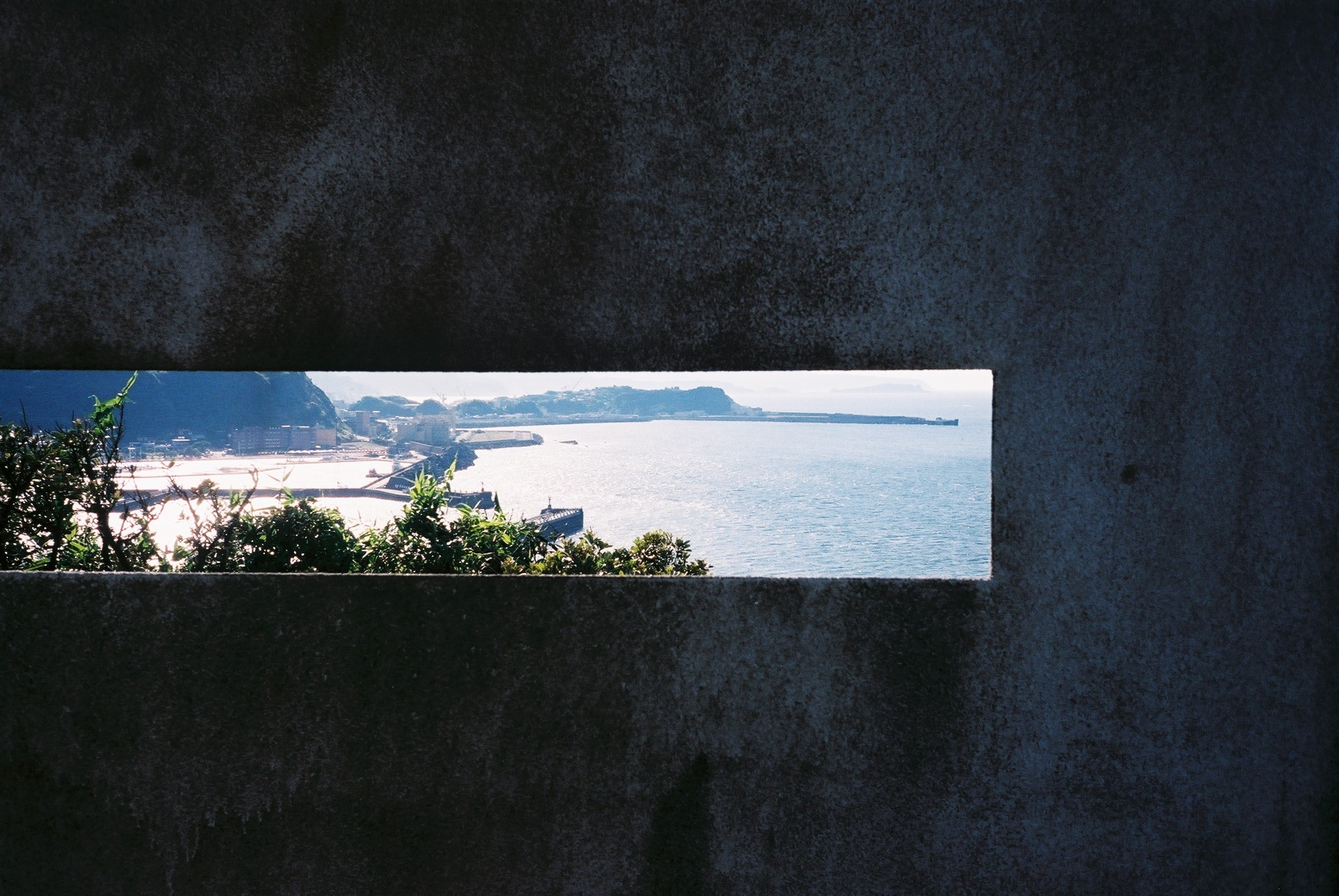 7961017392_ed88f44480_o (1).jpg