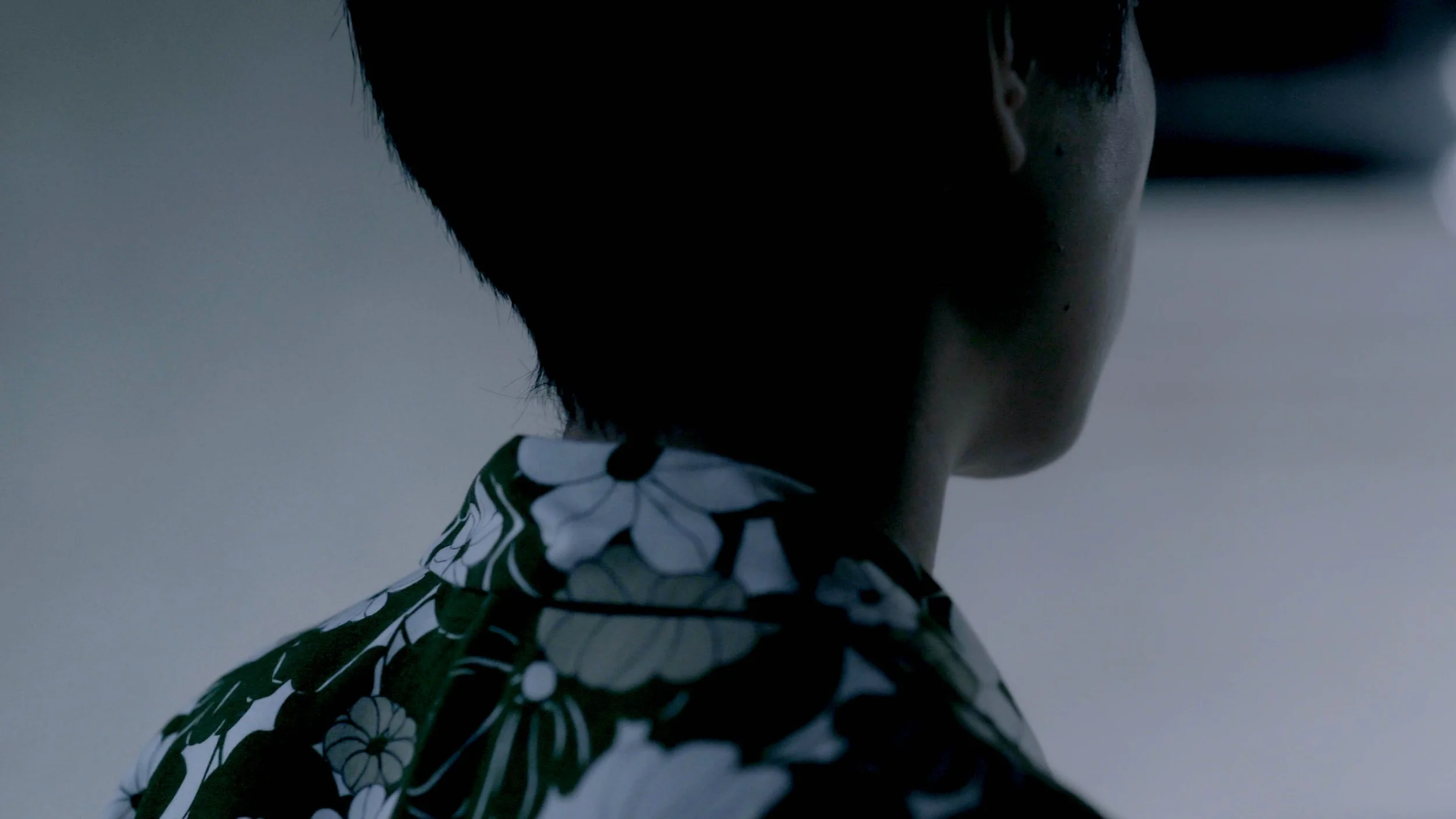 Colored Stills-6.jpg
