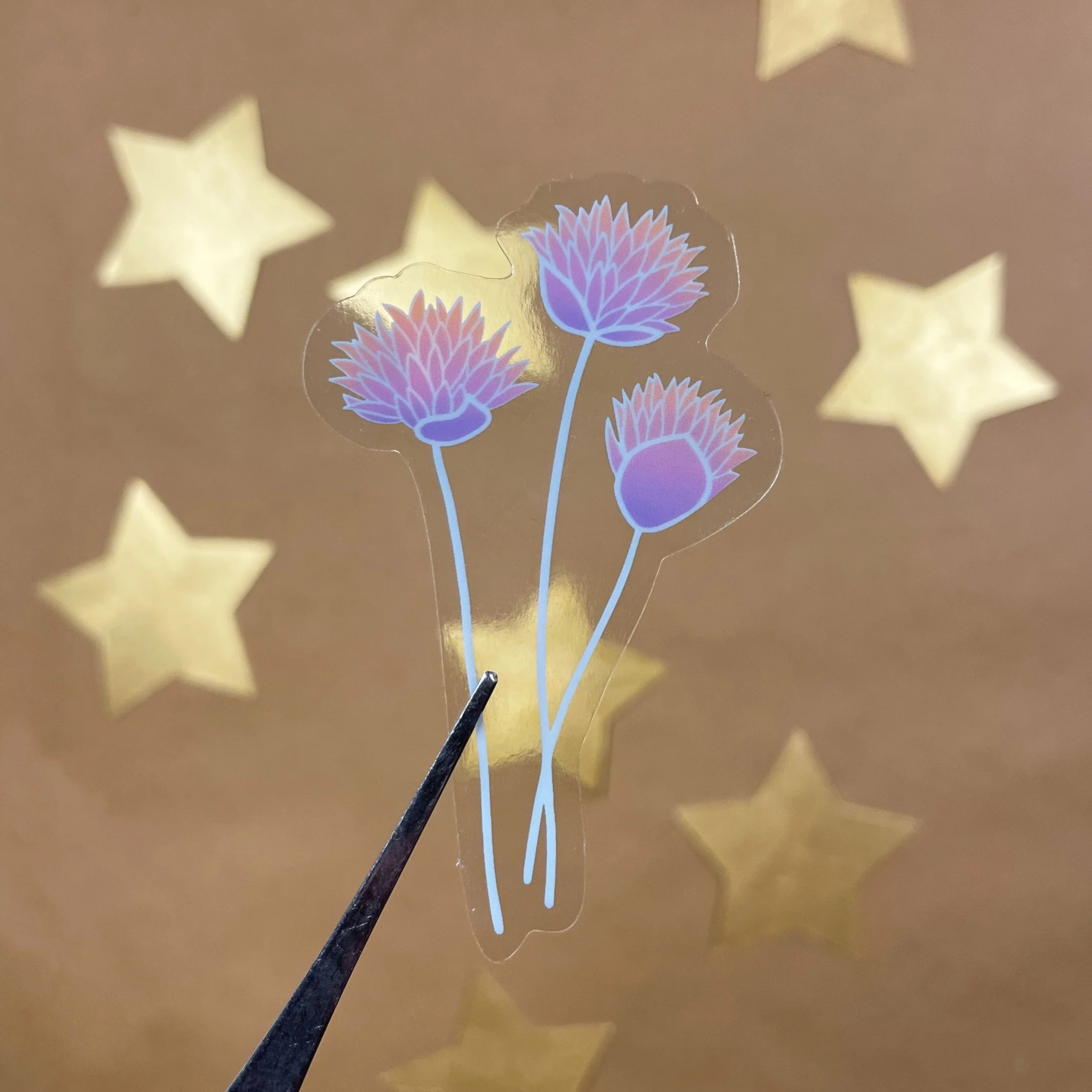 4E3D6A80-3EC1-4FDE-A288-66E115D248A6.png