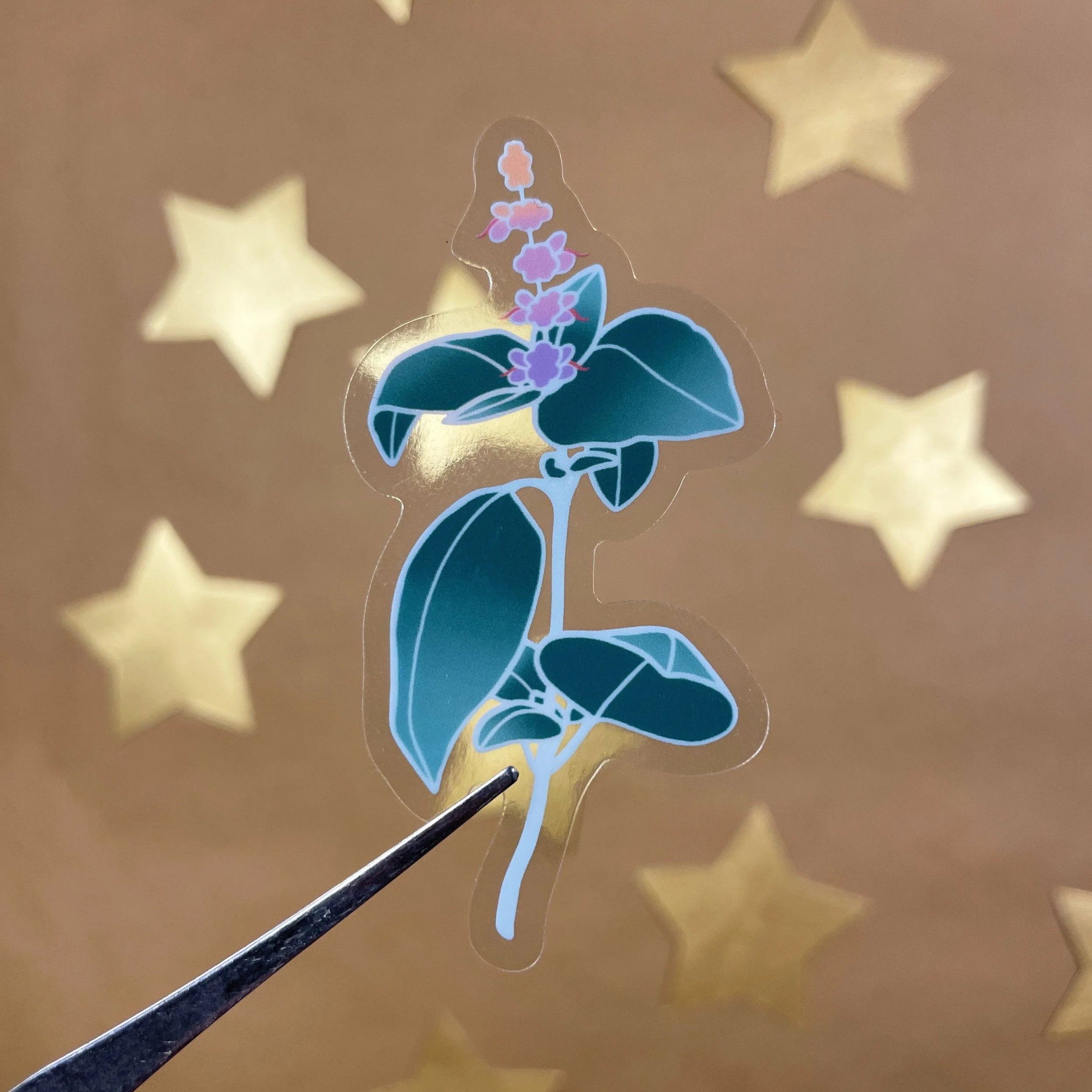 7B0DAA0E-D150-428C-9B79-911A3D01E6BC.png