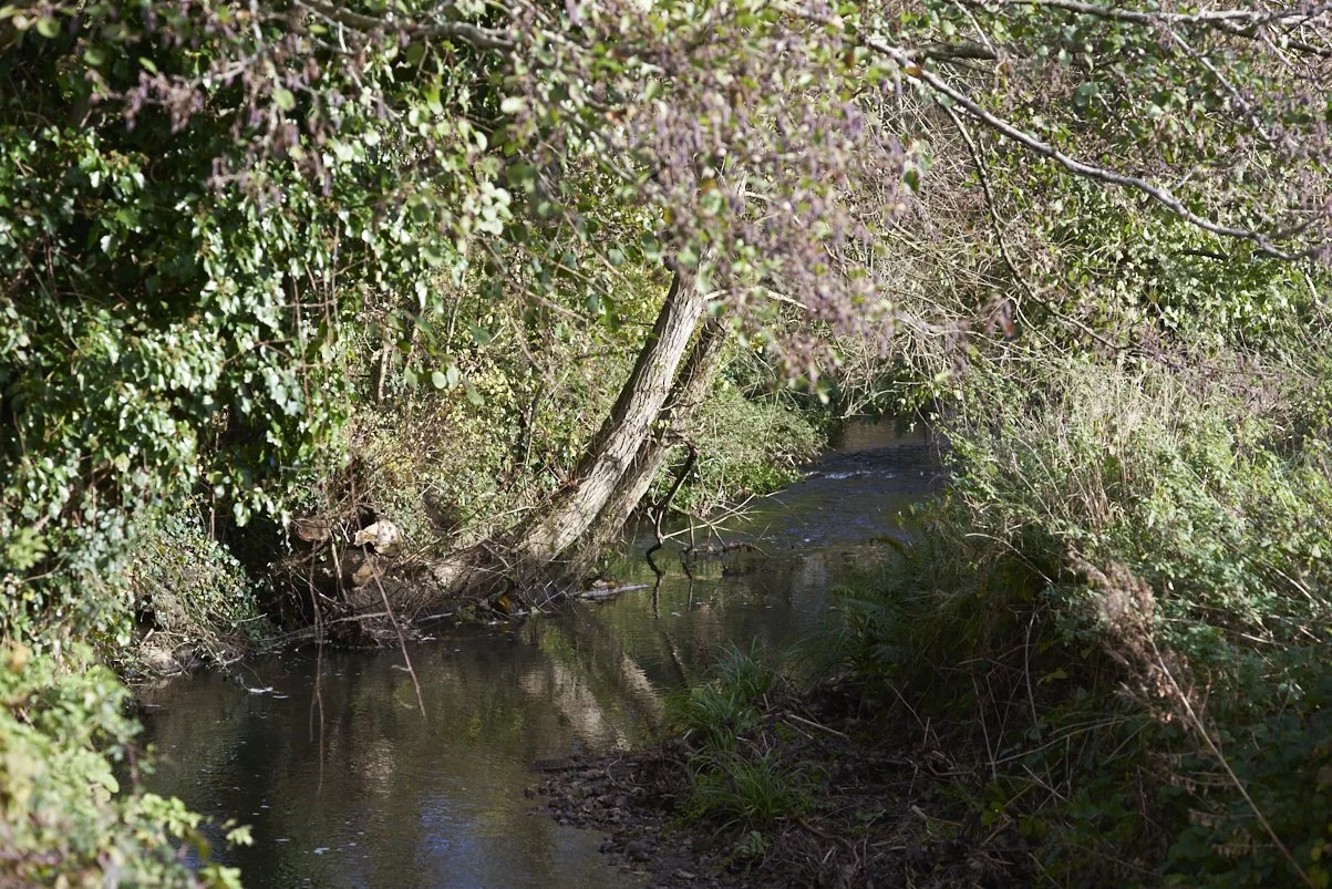 DSC_4859.jpg