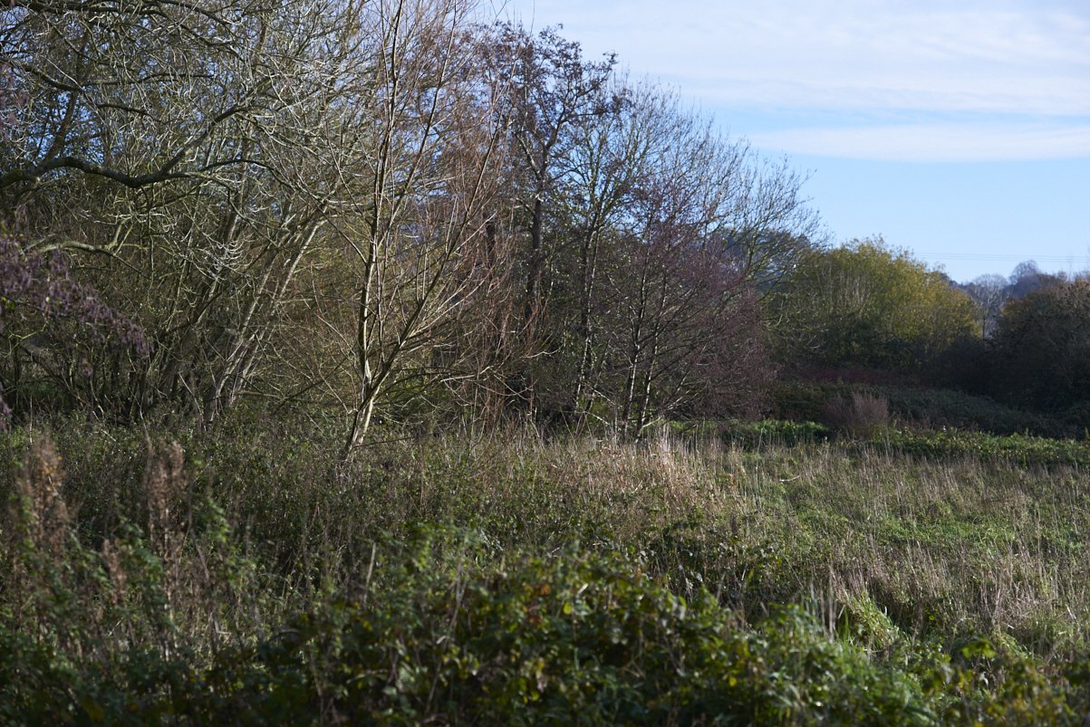 DSC_4860.jpg