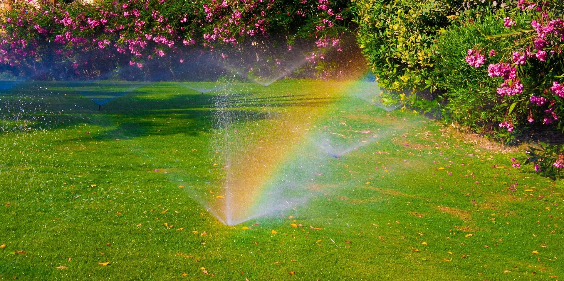 Enjoy a Beautiful and Efficient Landscape Design By Including Irrigation in Your Plans in the Monroe, NY Area
