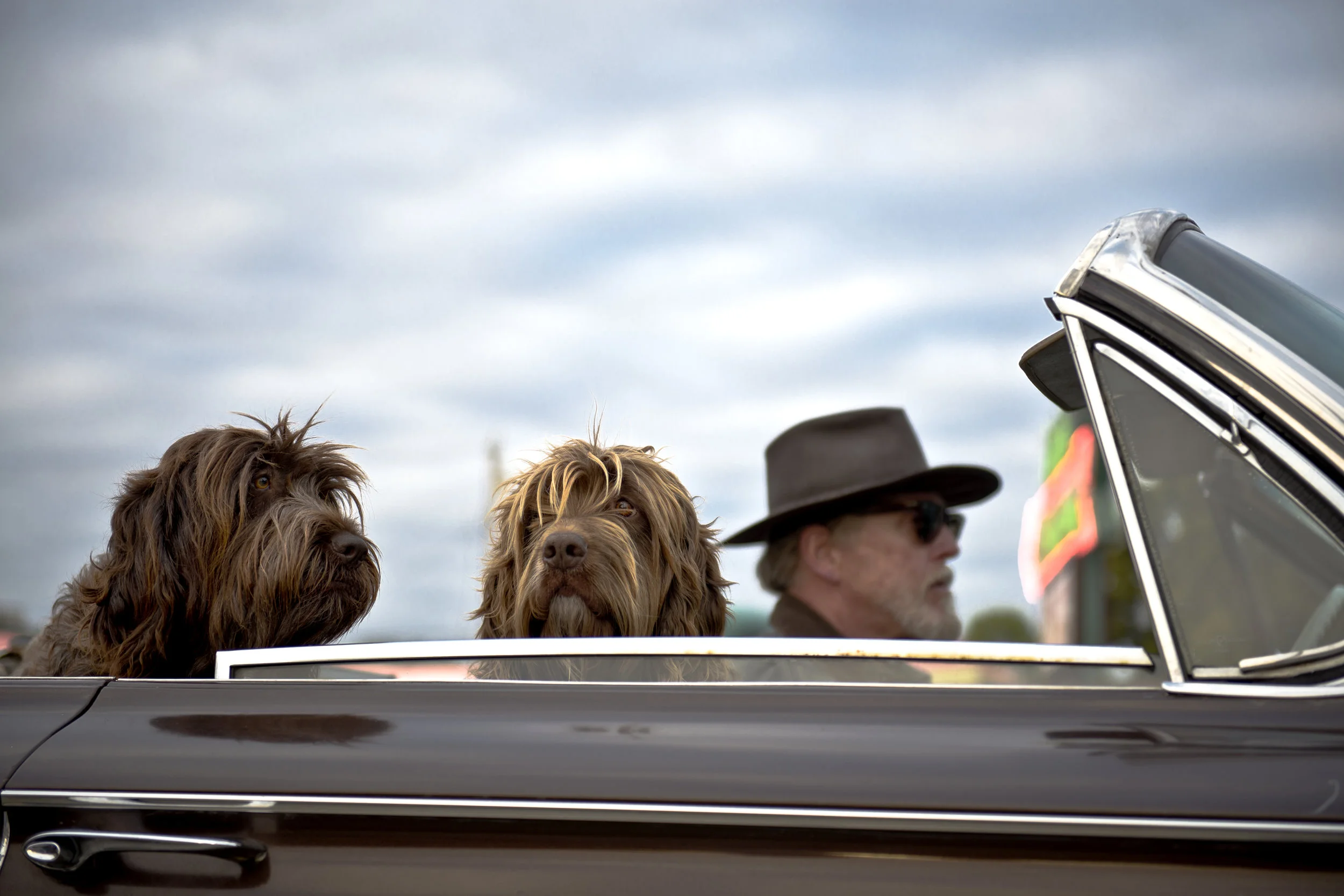 (Photo by Tim Mossholder @timmossholder)