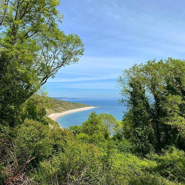 Lucky to live in this beaut. #southwestcoastpath #jurrasiccoast #goldencap