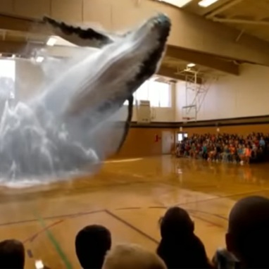 "I feel the need, the need for speed!” 