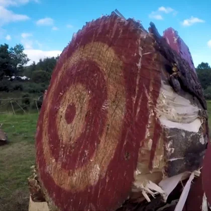 Show &amp; Tell - Our Work