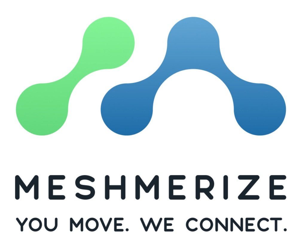 meshmerize+logo.jpg