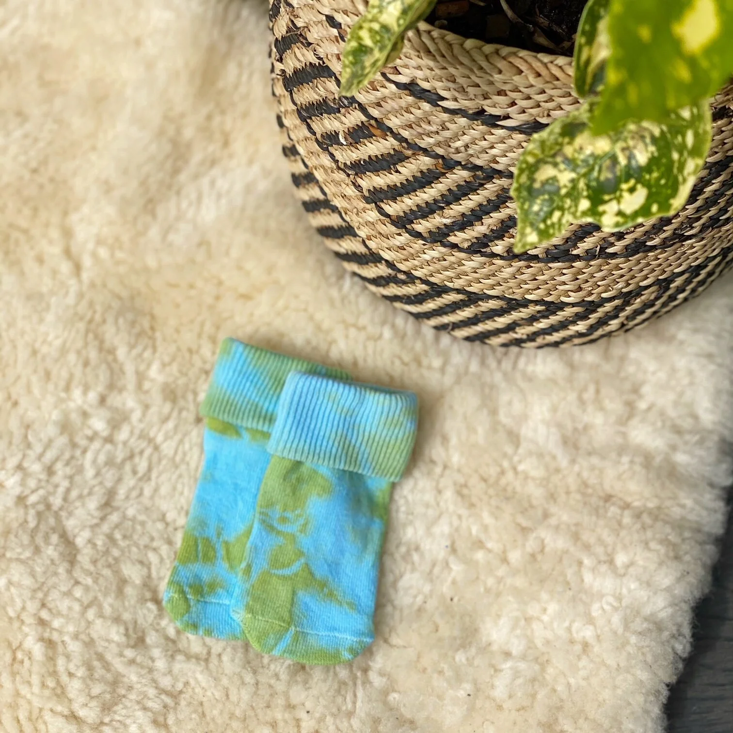 AfterlightImage (13).JPG