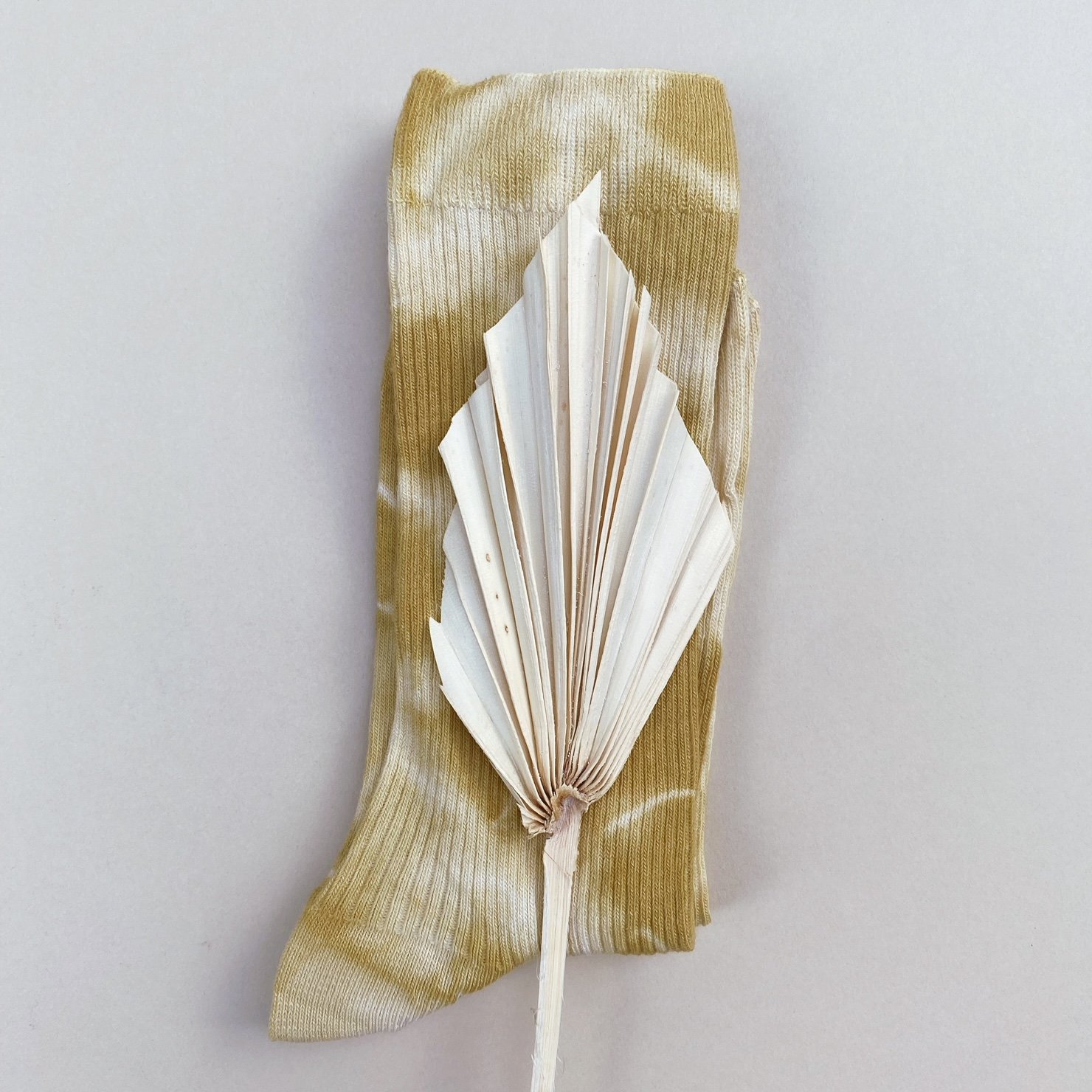 AfterlightImage (27).JPG