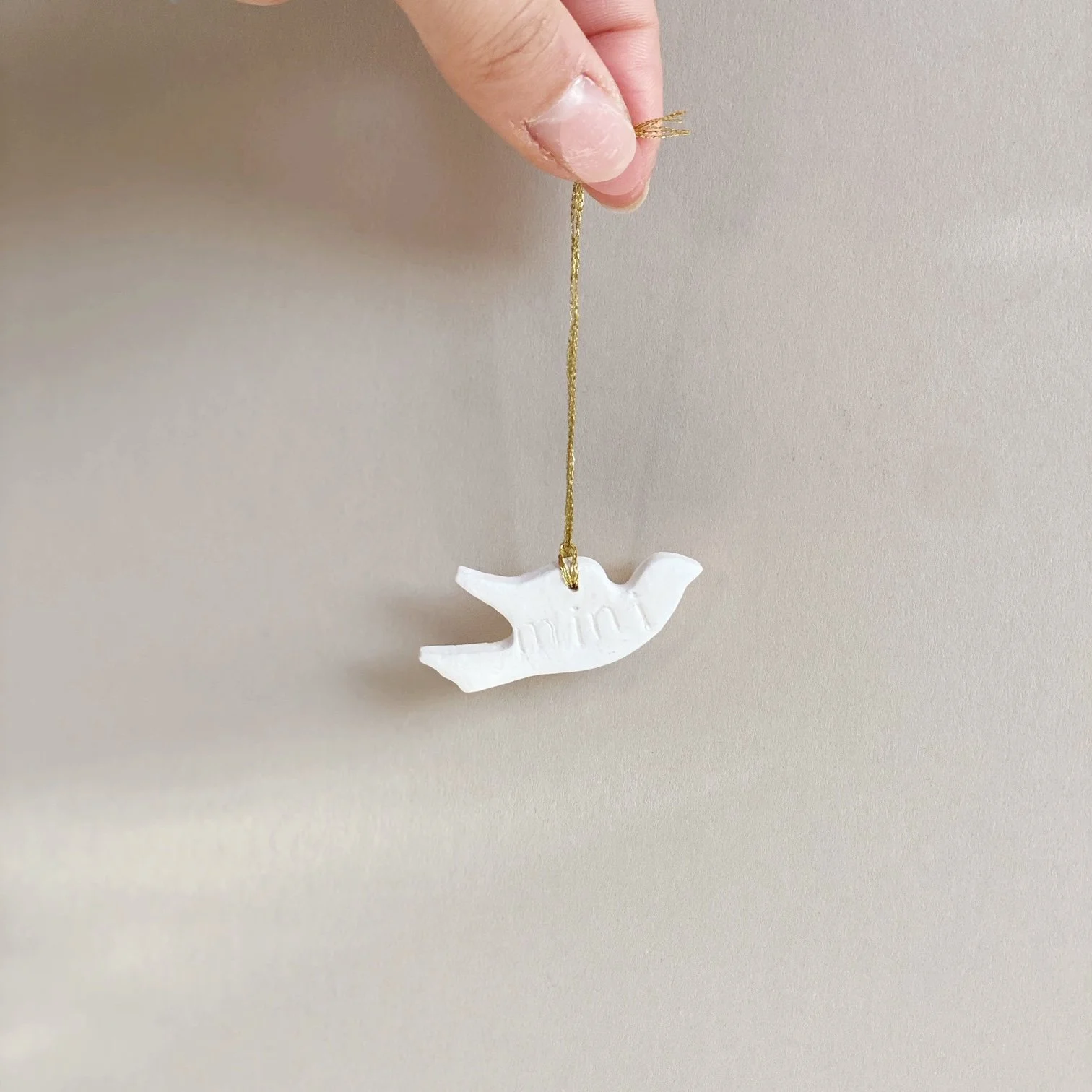 AfterlightImage (9).JPG