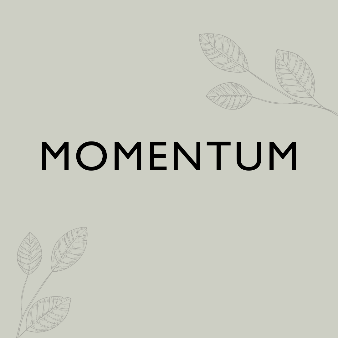 MOMENTUM (1).png