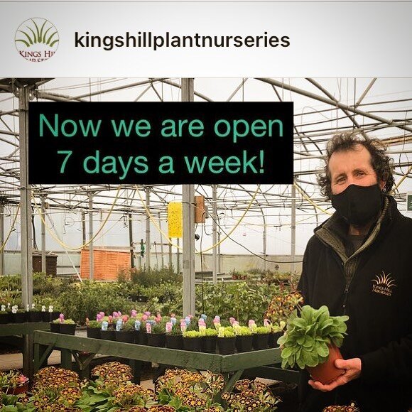 If you are looking for beautiful plants and flowers for your garden visit @kingshillplantnurseries www.life-path.org.uk #charity #care #carers #coventry #supportathome #support #learningdisabilities #learningdisabilityawareness #learningdisabilityser