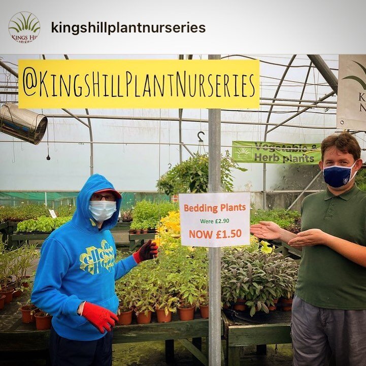 If you are looking for beautiful plants and flowers for your garden visit @kingshillplantnurseries www.life-path.org.uk #charity #care #carers #coventry #supportathome #support #learningdisabilities #learningdisabilityawareness #learningdisabilityser