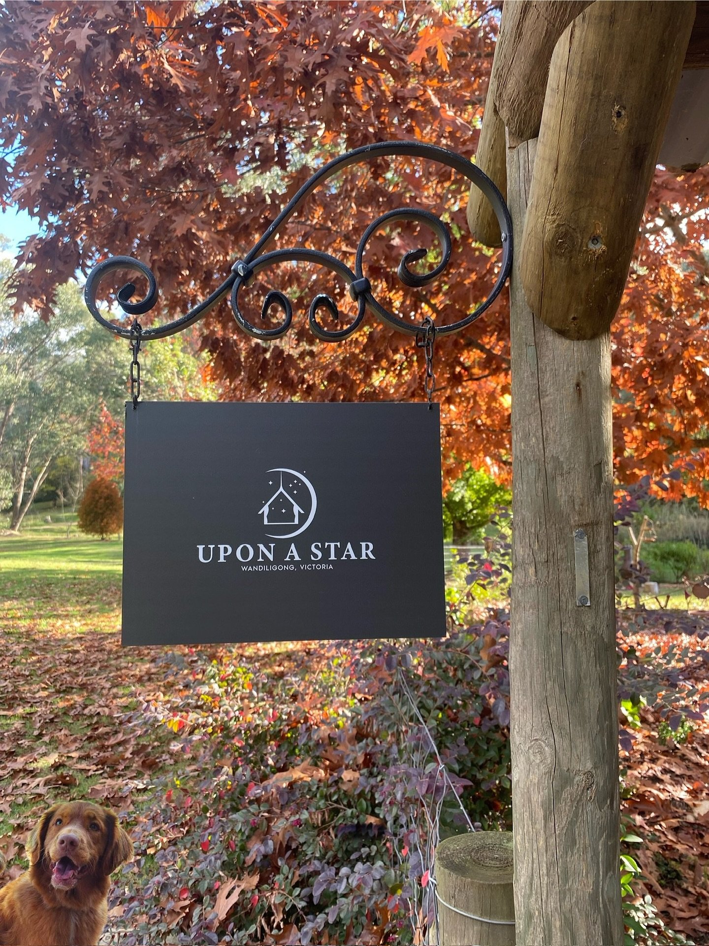 @uponastar_wandiligong IS NOW PET FRIENDLY! 

You asked and we listened, we can&rsquo;t wait to meet your fur babies at Upon a Star 💫 

We know how hard it is to leave our babies behind when we go on holidays so we are now fully fenced! 

Email: sta