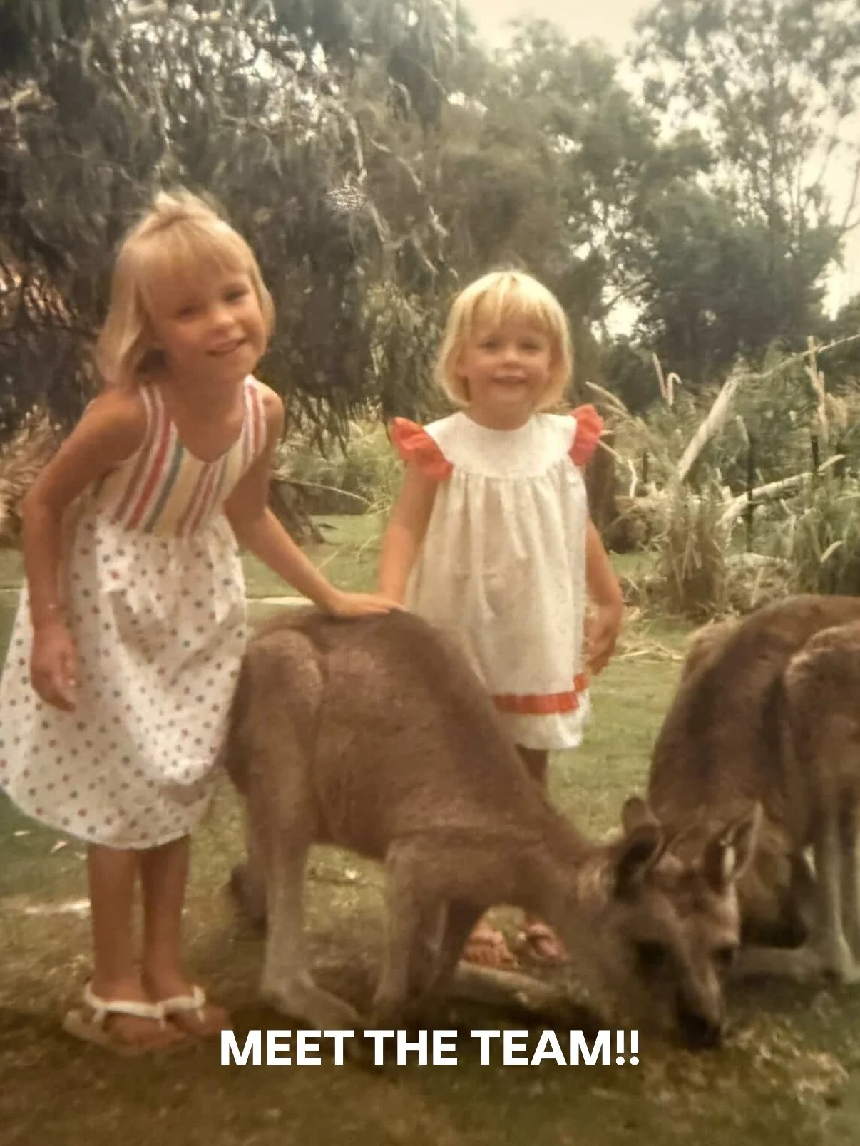 Our team of superstars 🌟🌟🌟🌟