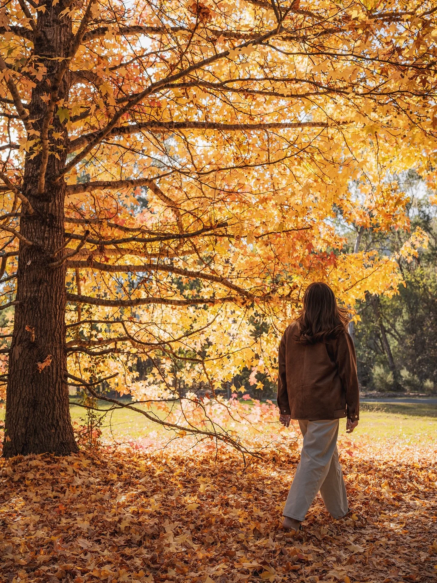 Can you tell we&rsquo;re excited for the seasons to change!! 
🍂🥂🌟☕️🍁⛰️🌲

Book your stay with us and watch the magic unfold ✨