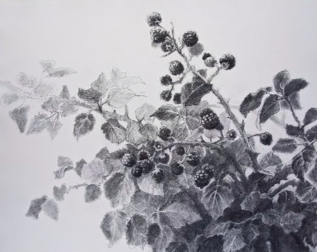 Brambles