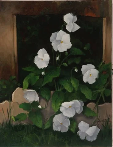 Backyard Pansies (Provence)