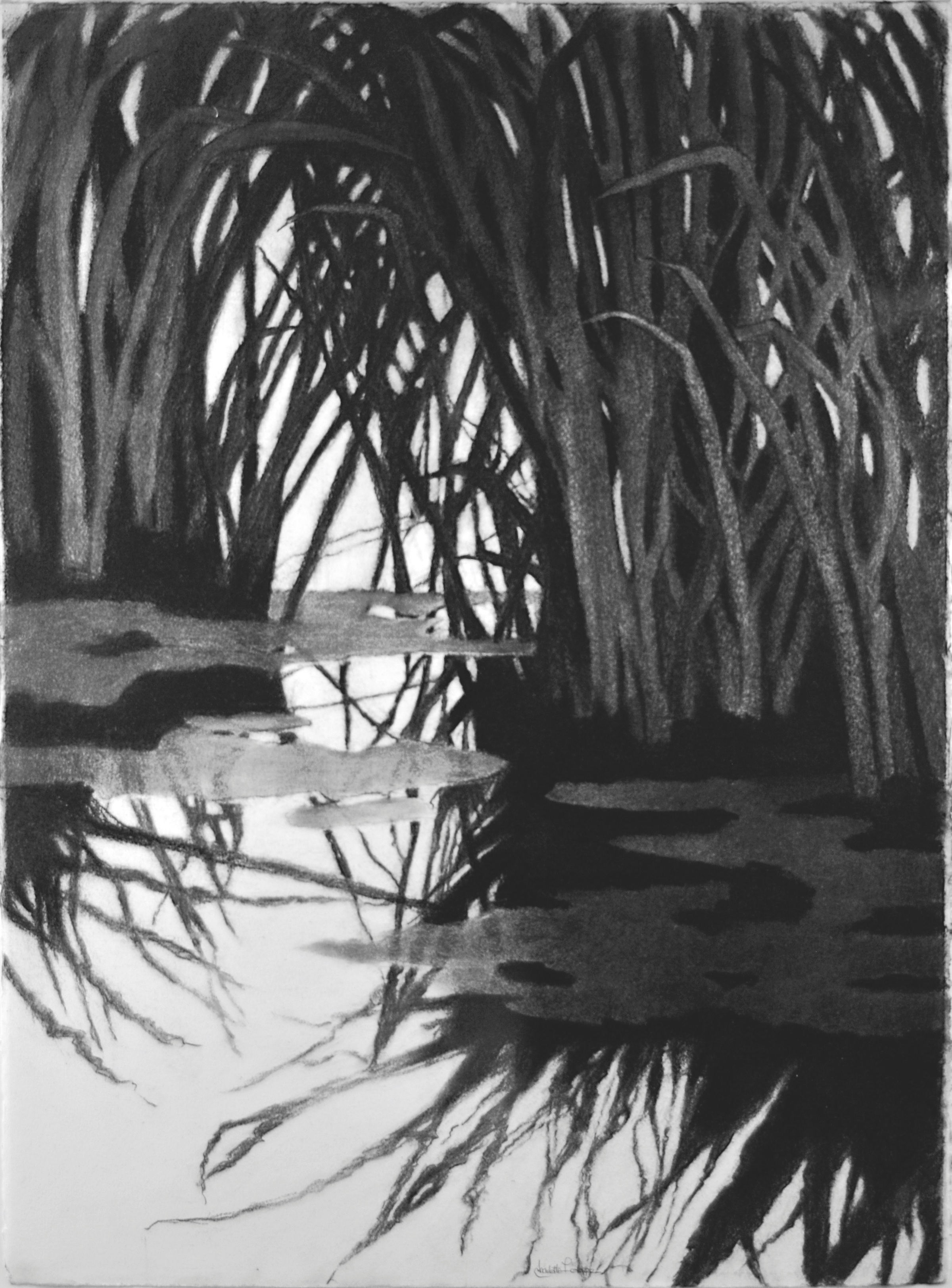 Tinnicum Marsh