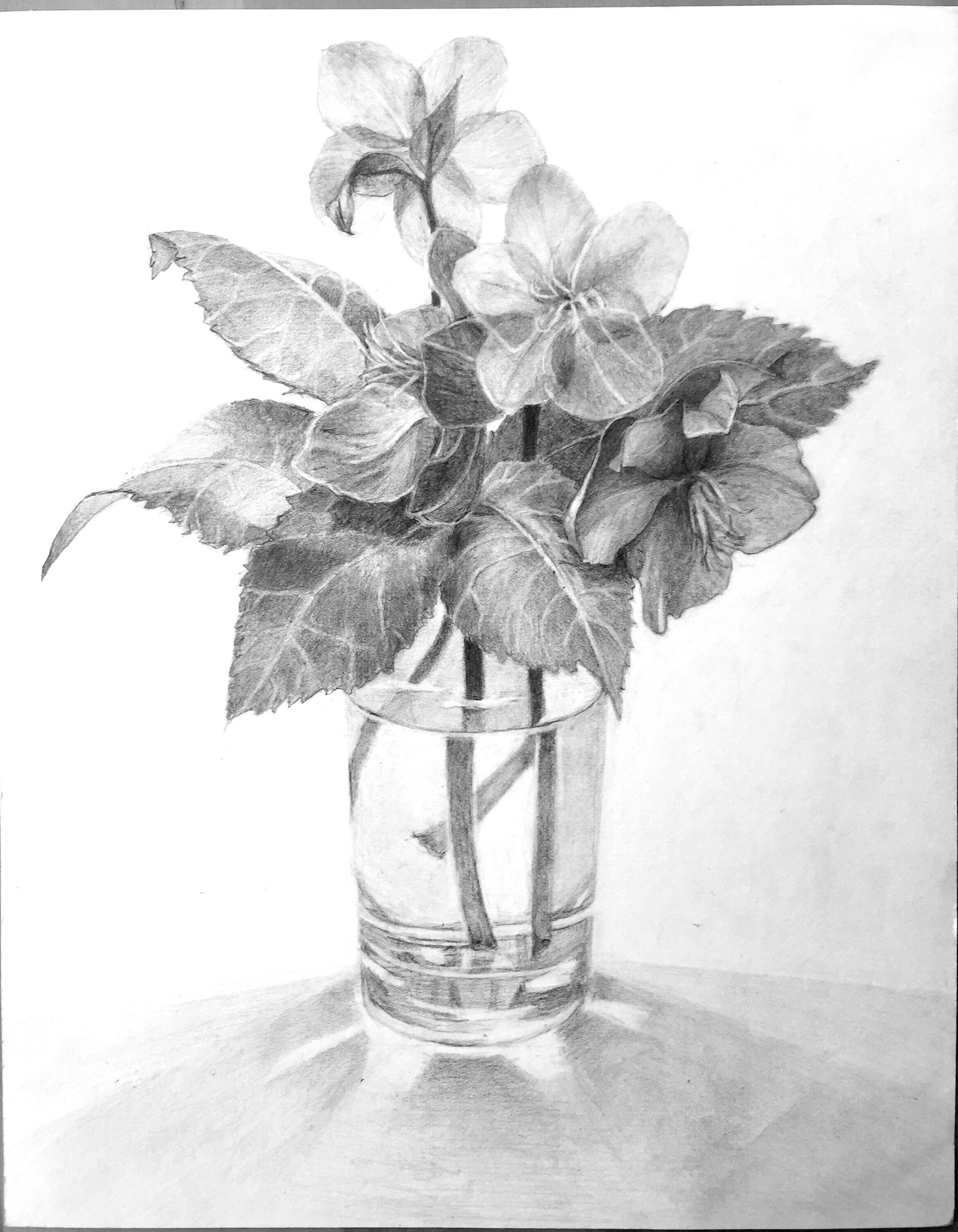 Late Helebores 13.5” x 11”