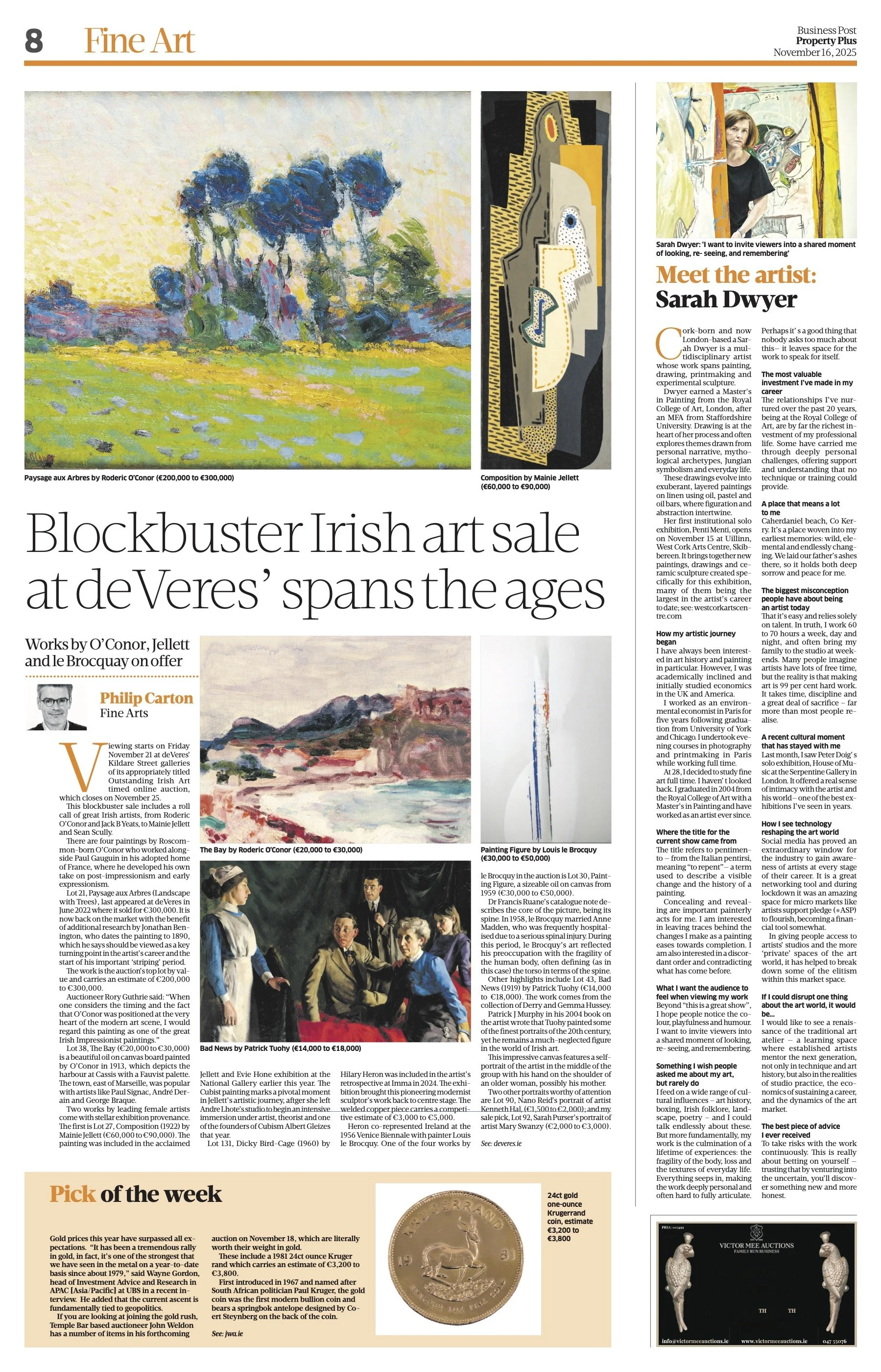 Business Post, Meet the Artist: Sarah Dwyer, November 2025