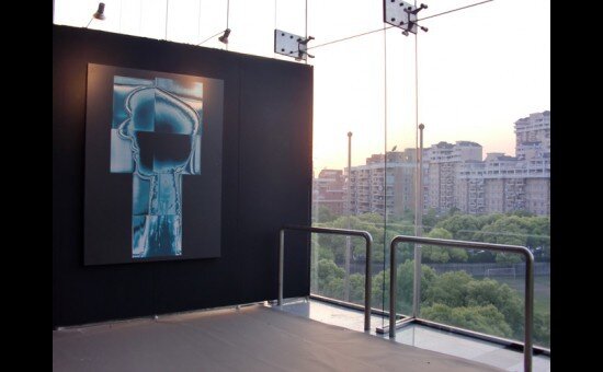 Art Shanghai - Picasso X-Ray - 2010 