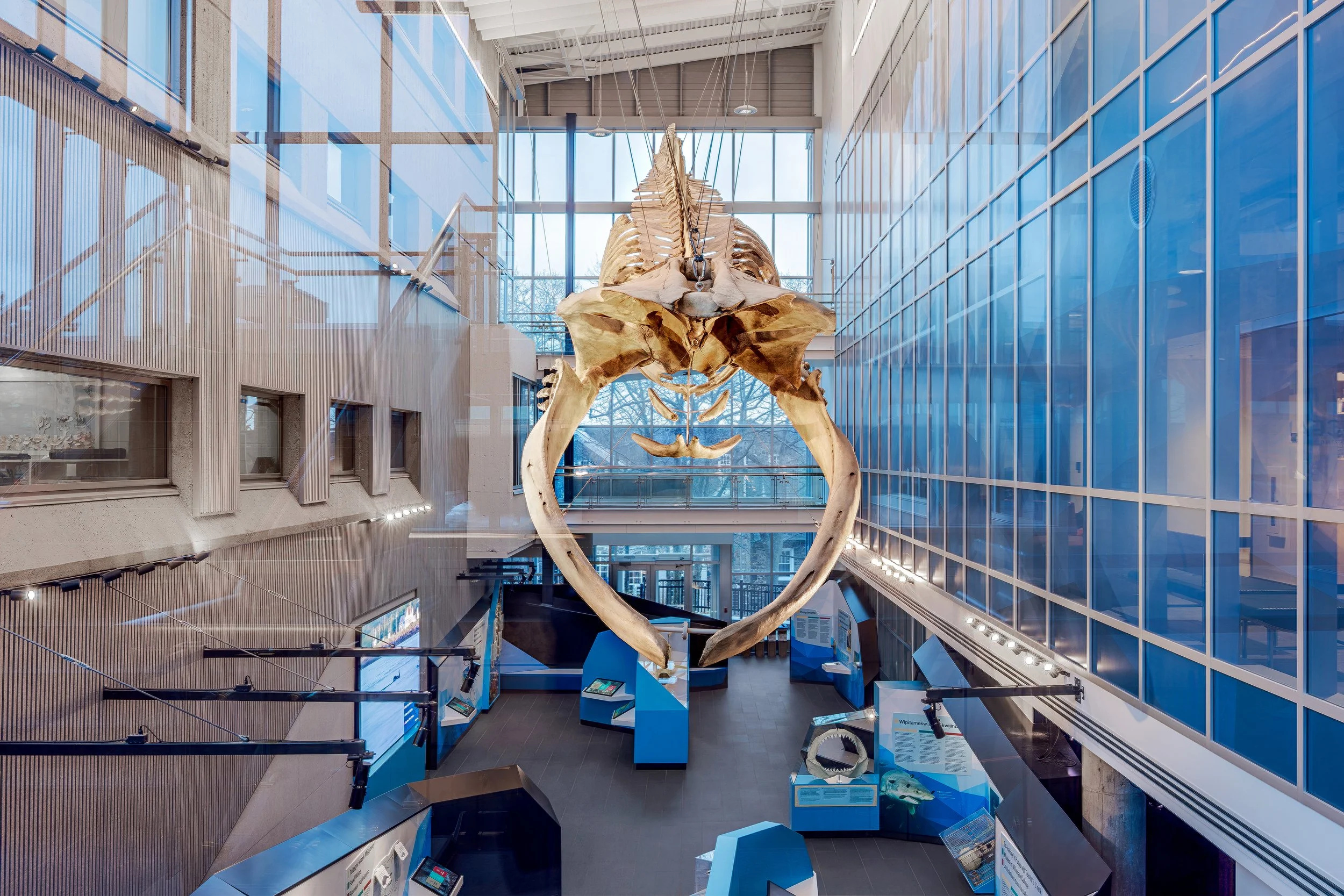 Dalhousie University - Beaty Marine Centre