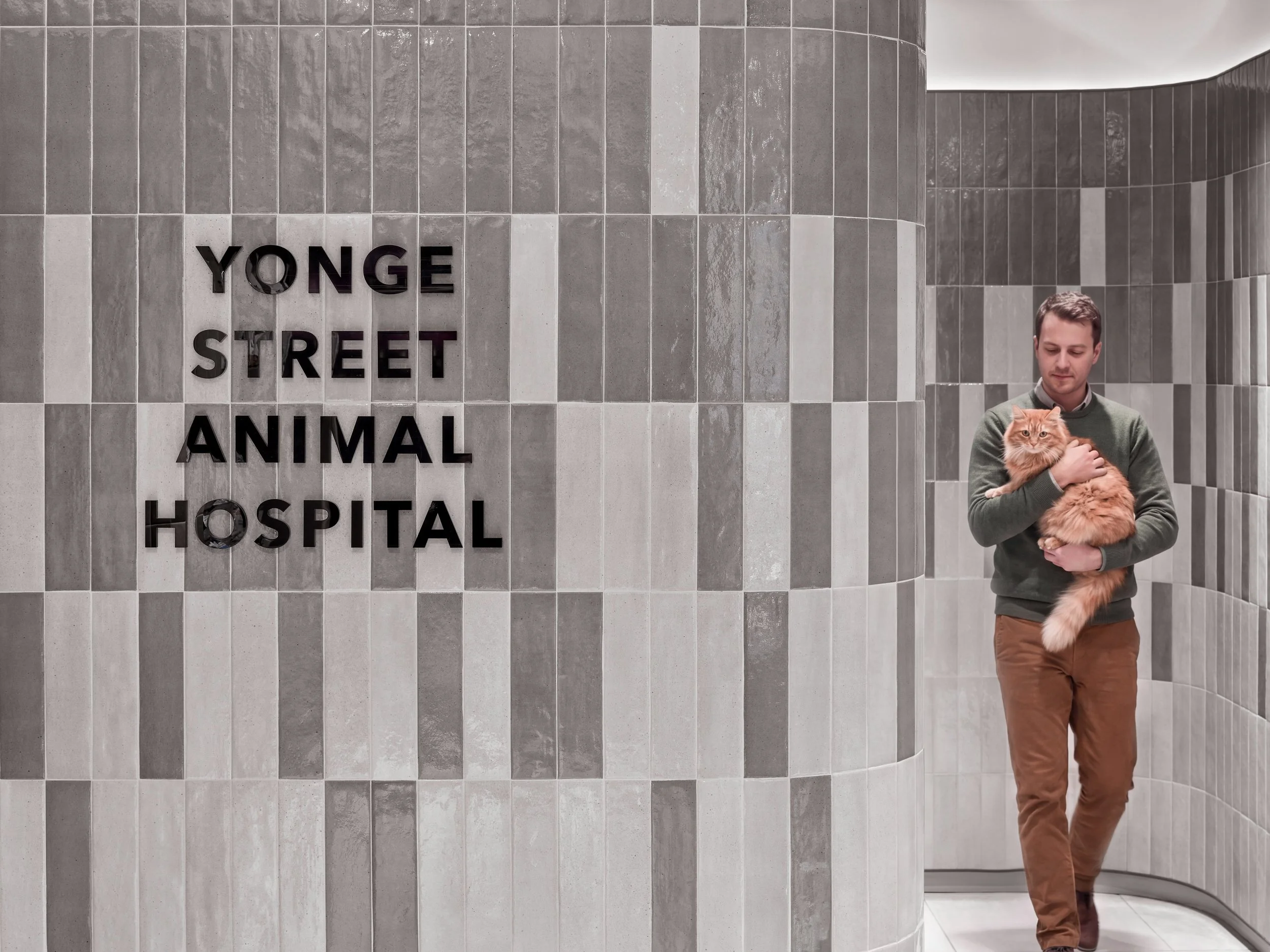 Yonge Street Animal Hospital