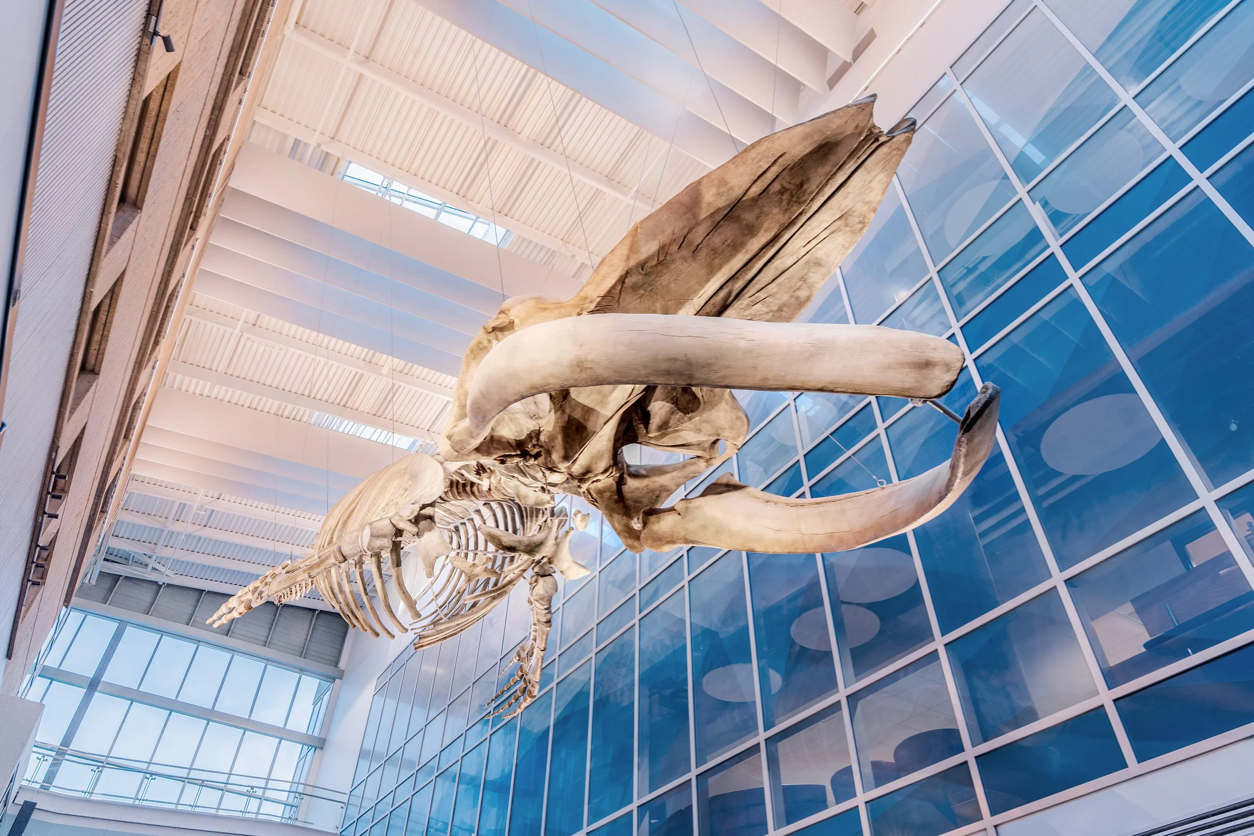 Beaty Centre_3476_Mark Santos.jpg