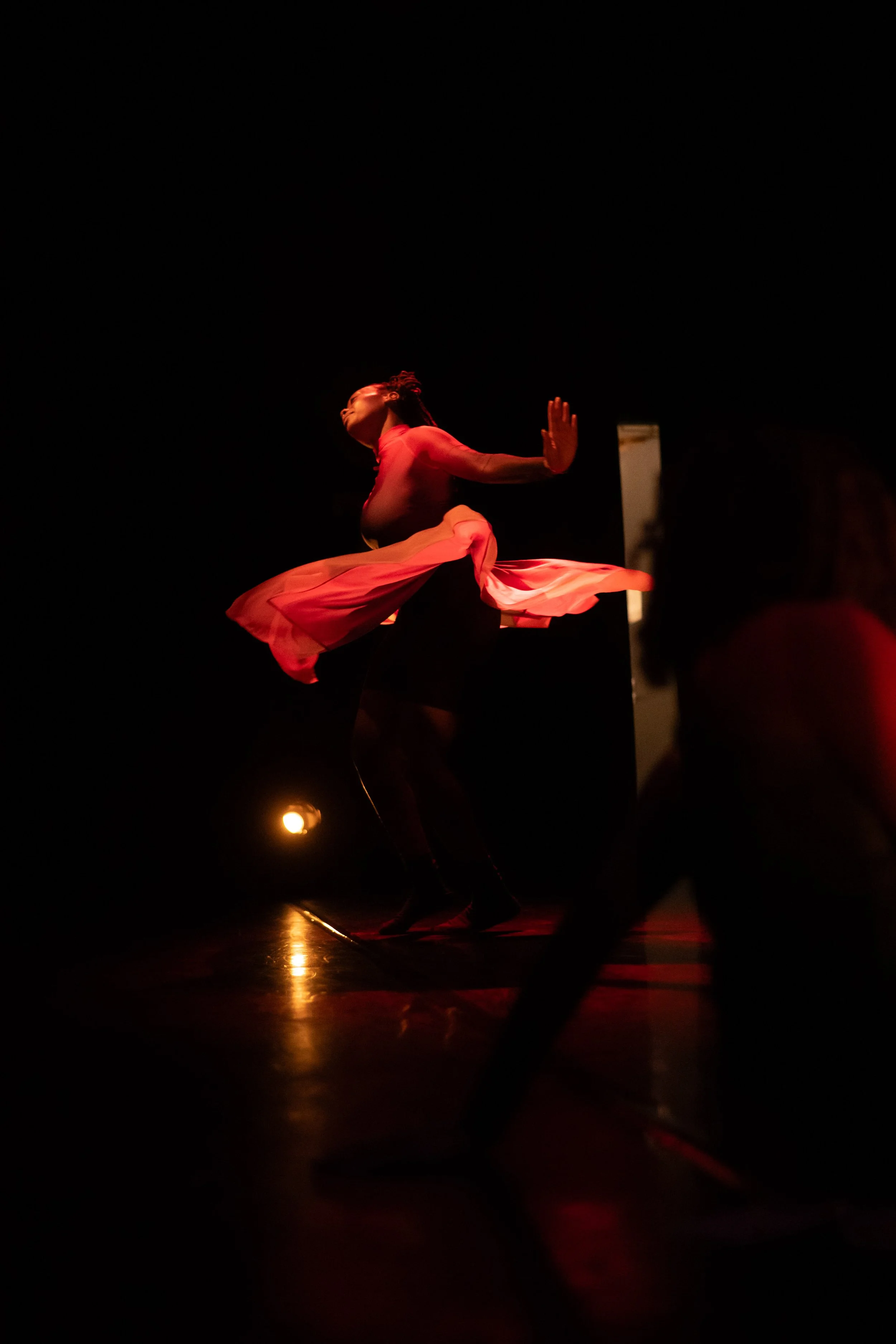 2026 National Dance Education Organization Conference Presentation